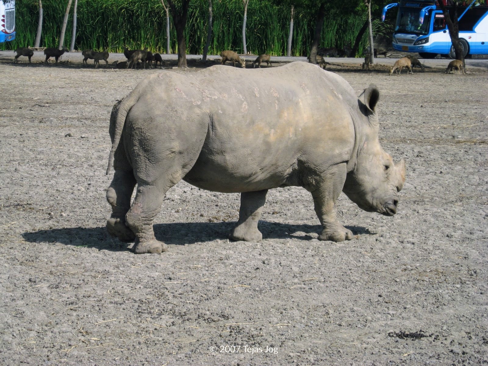 Safari World