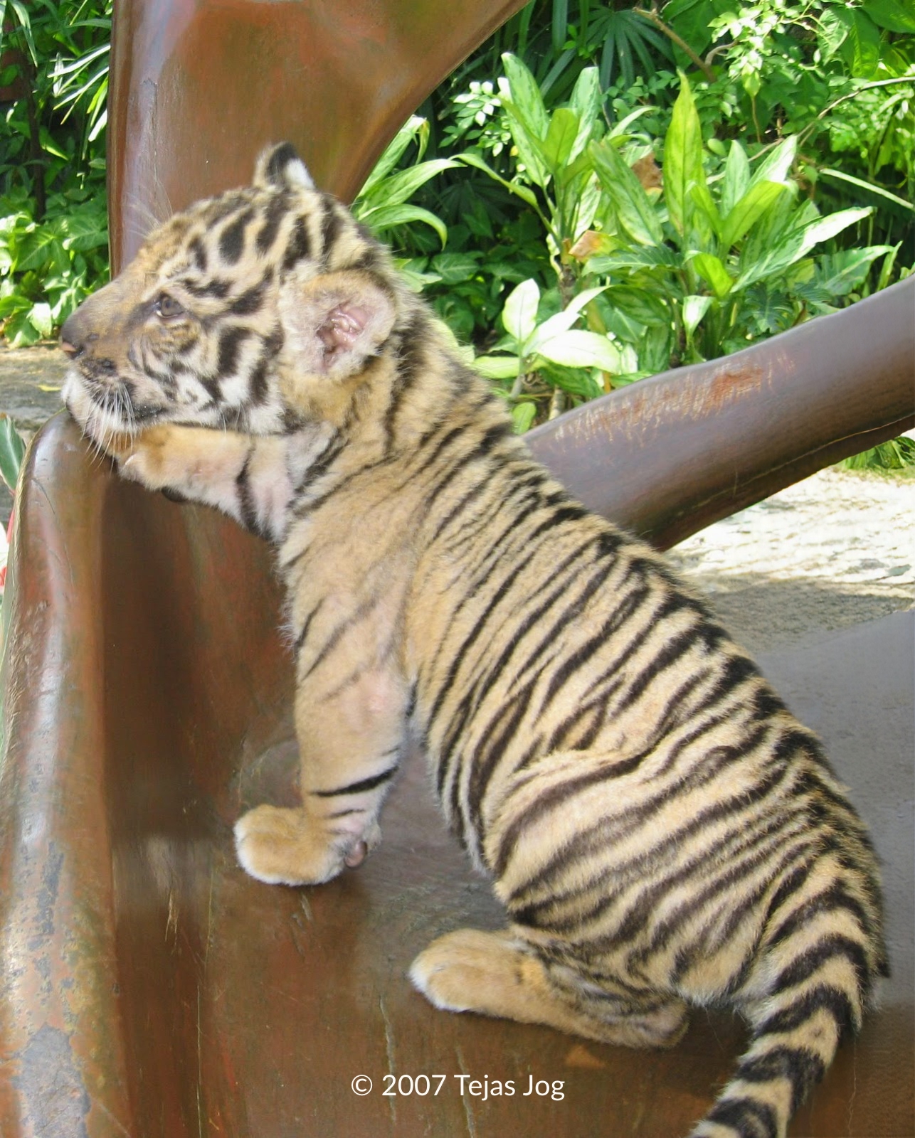 Safari World