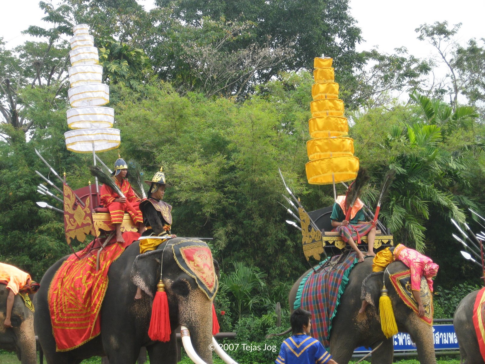 Elephant Show