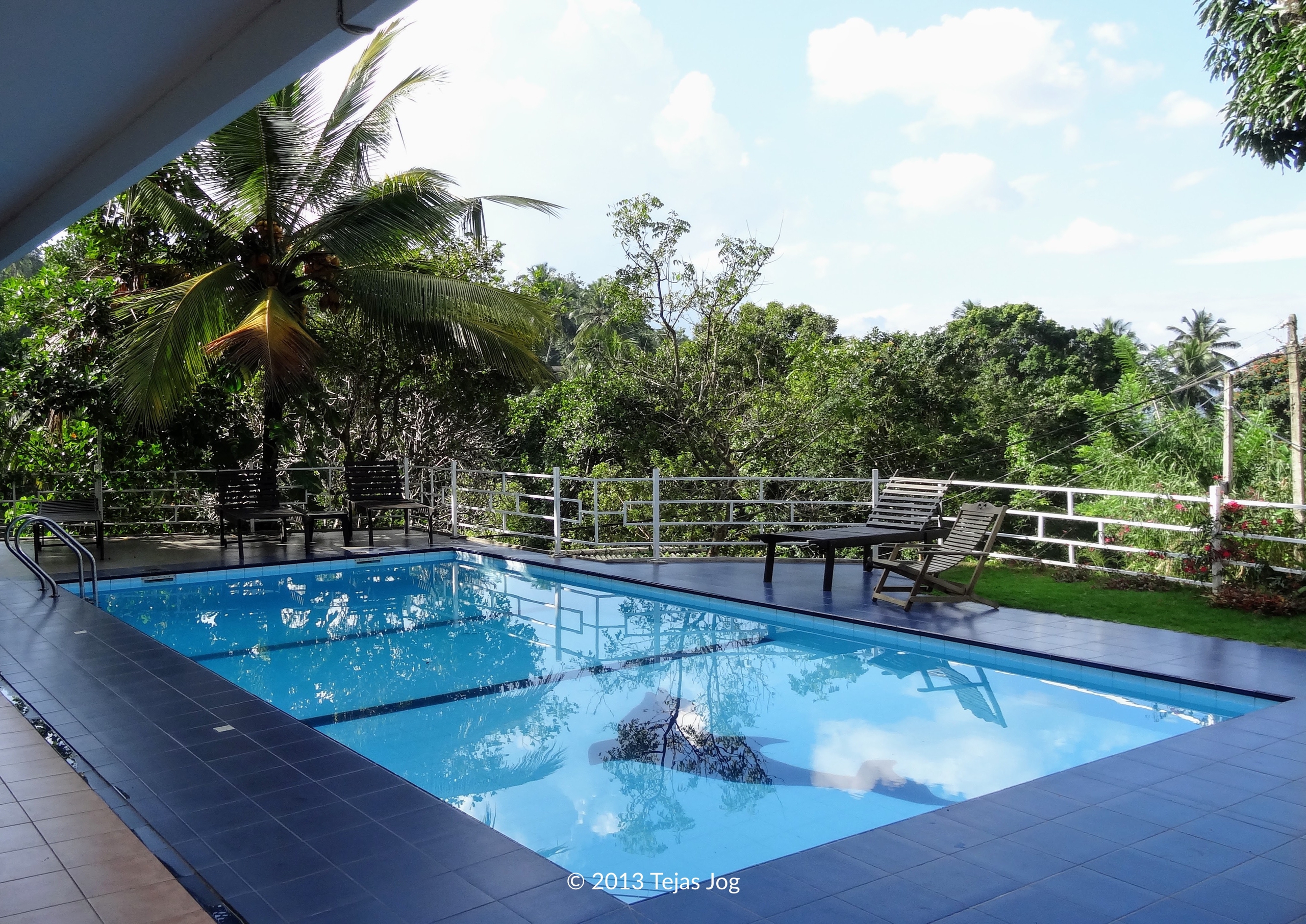 Swimming pool at the guesthouse, surrounded by tropical greenery