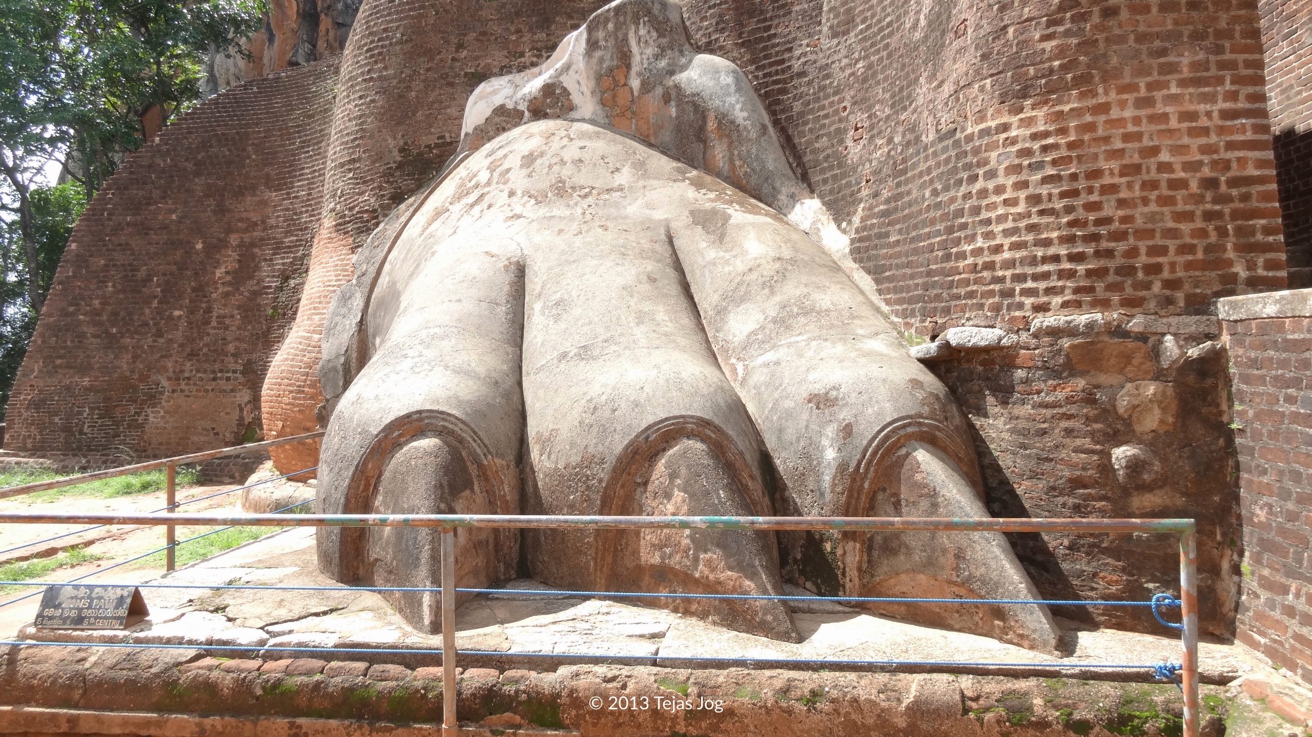 Sigiriya Lion's Paw