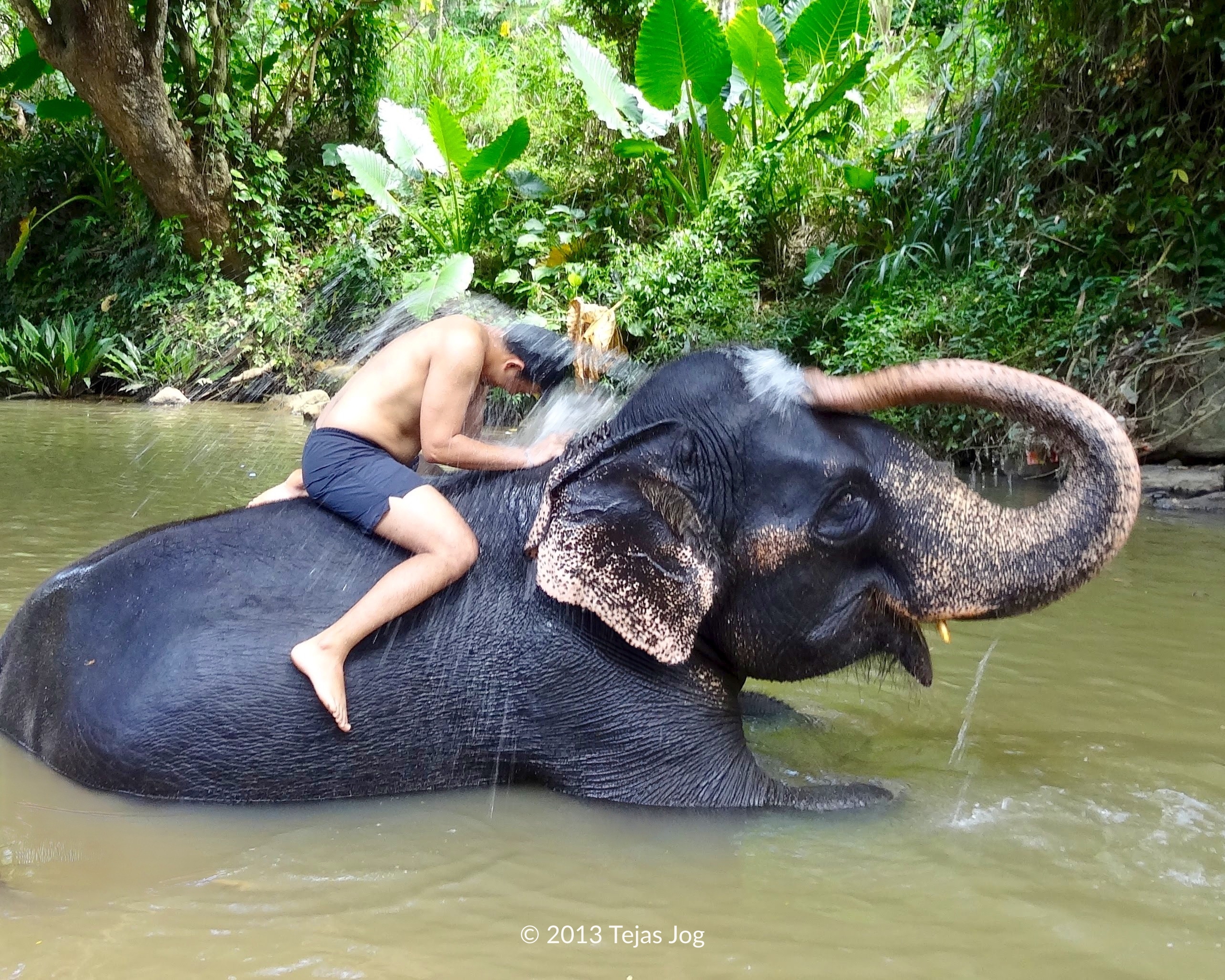 Riding the elephant in the river