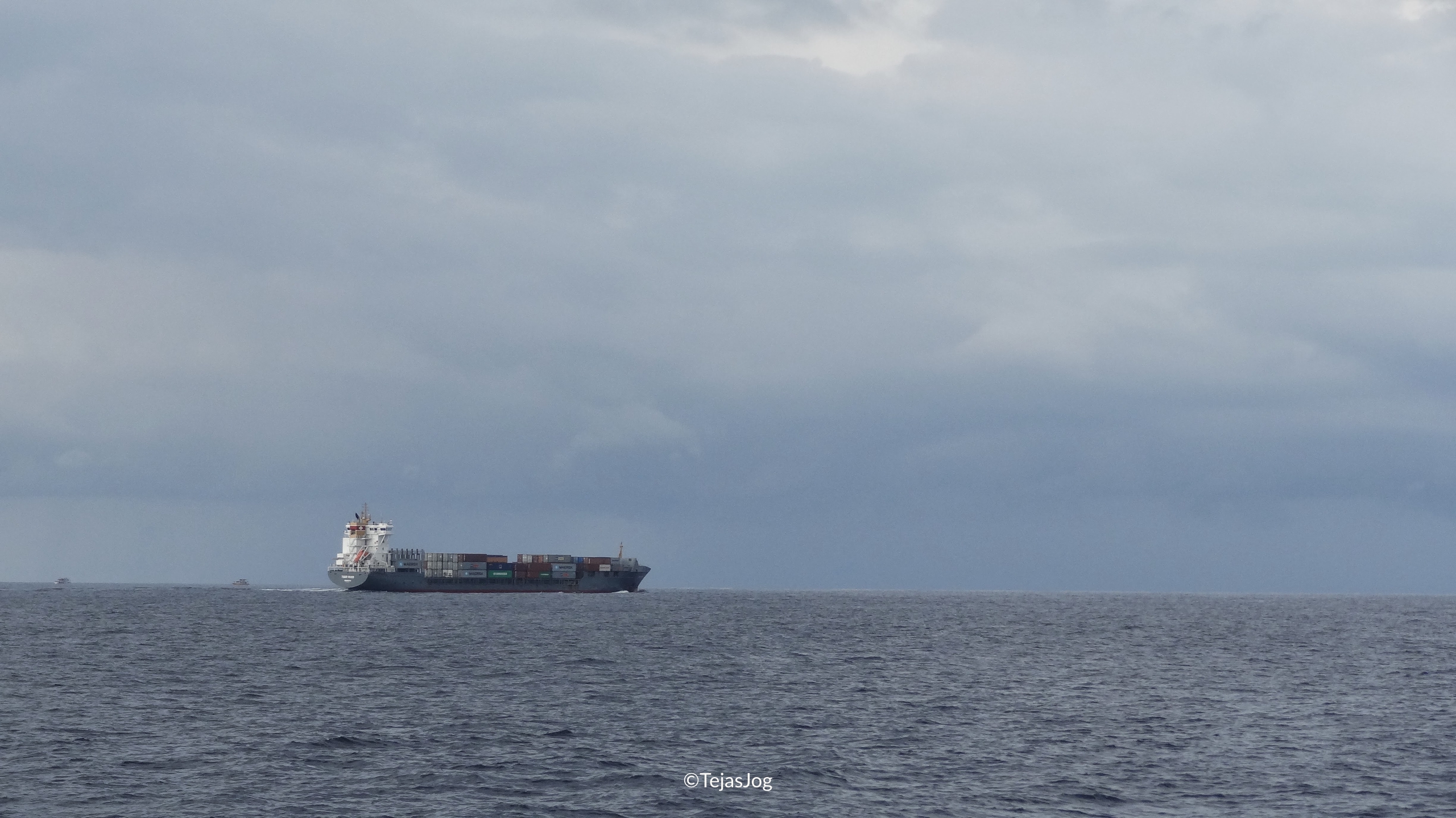 Whale Watching Mirissa