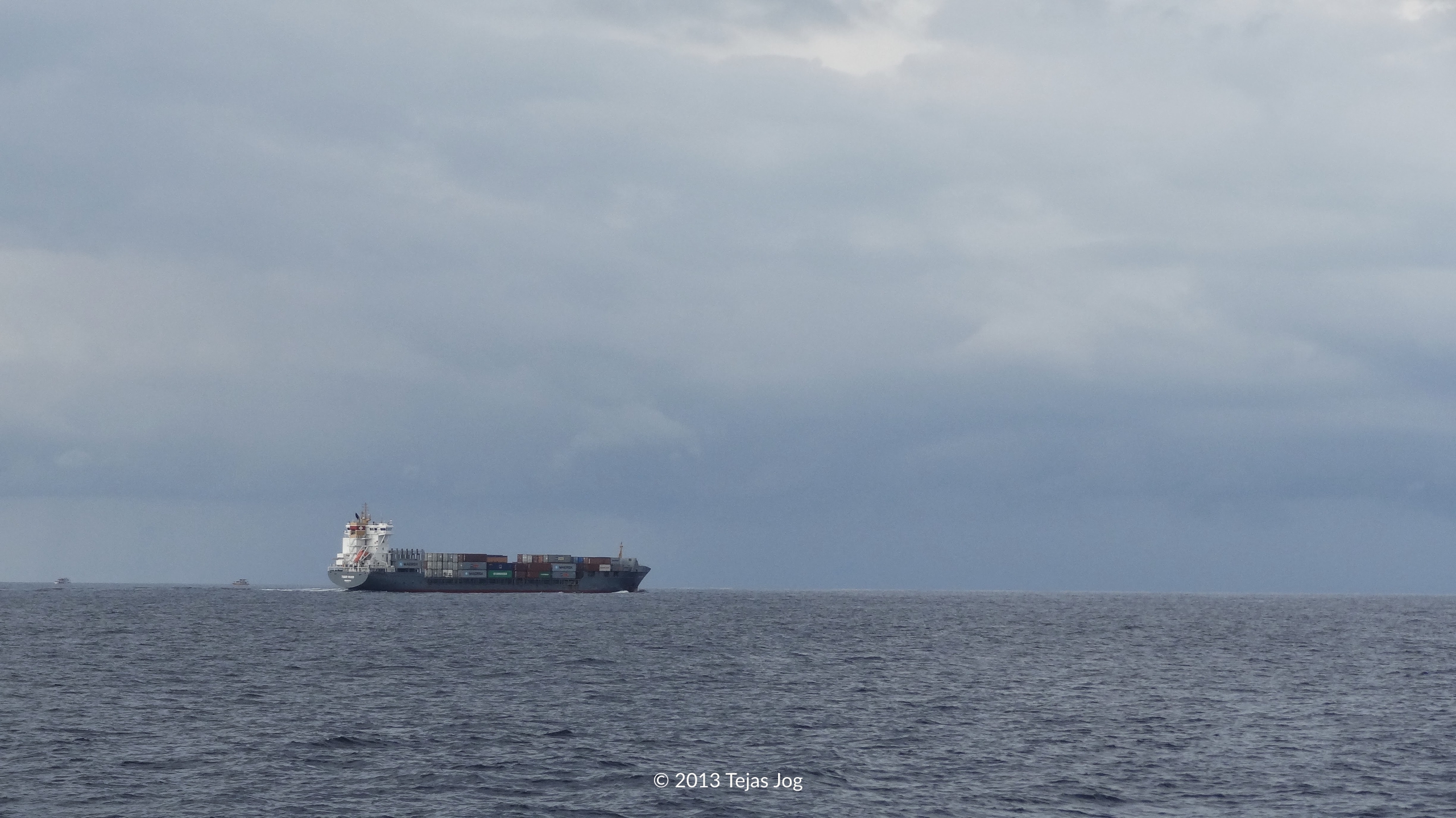 Whale Watching Mirissa