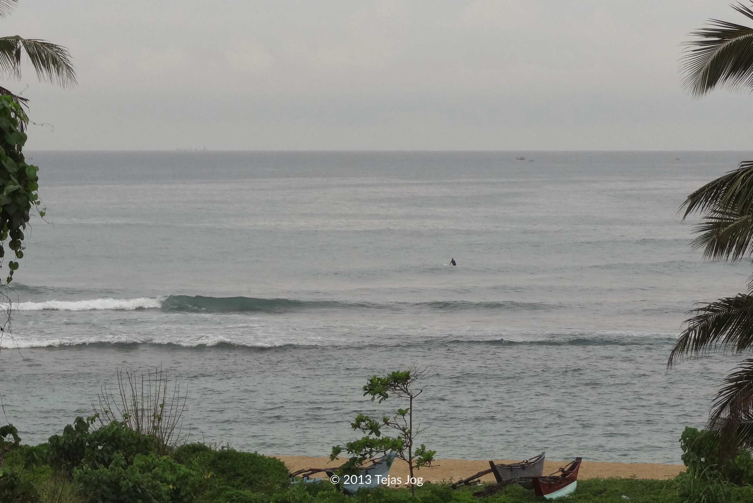 Mirissa Turtle Bay