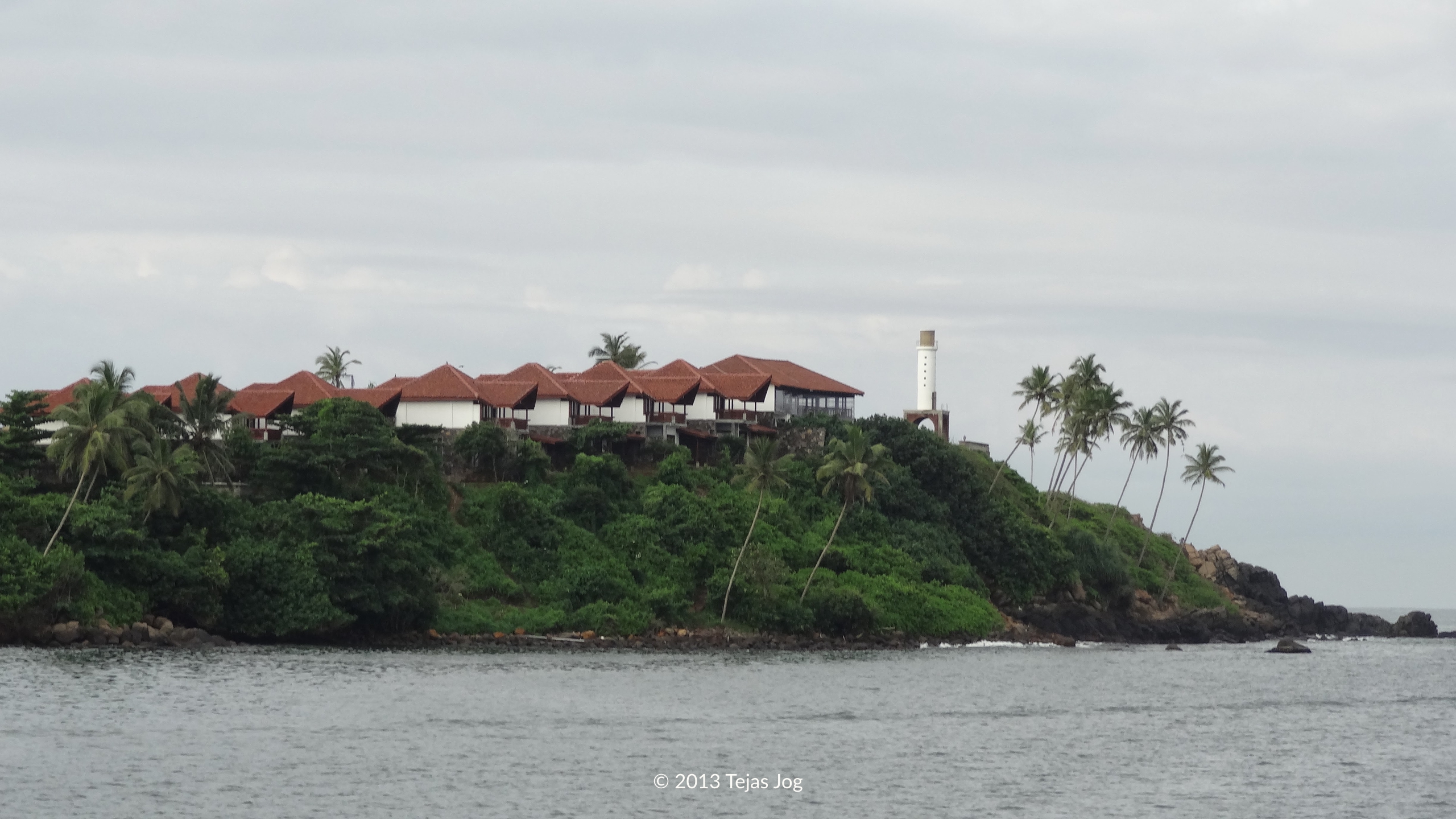 Whale Watching Mirissa