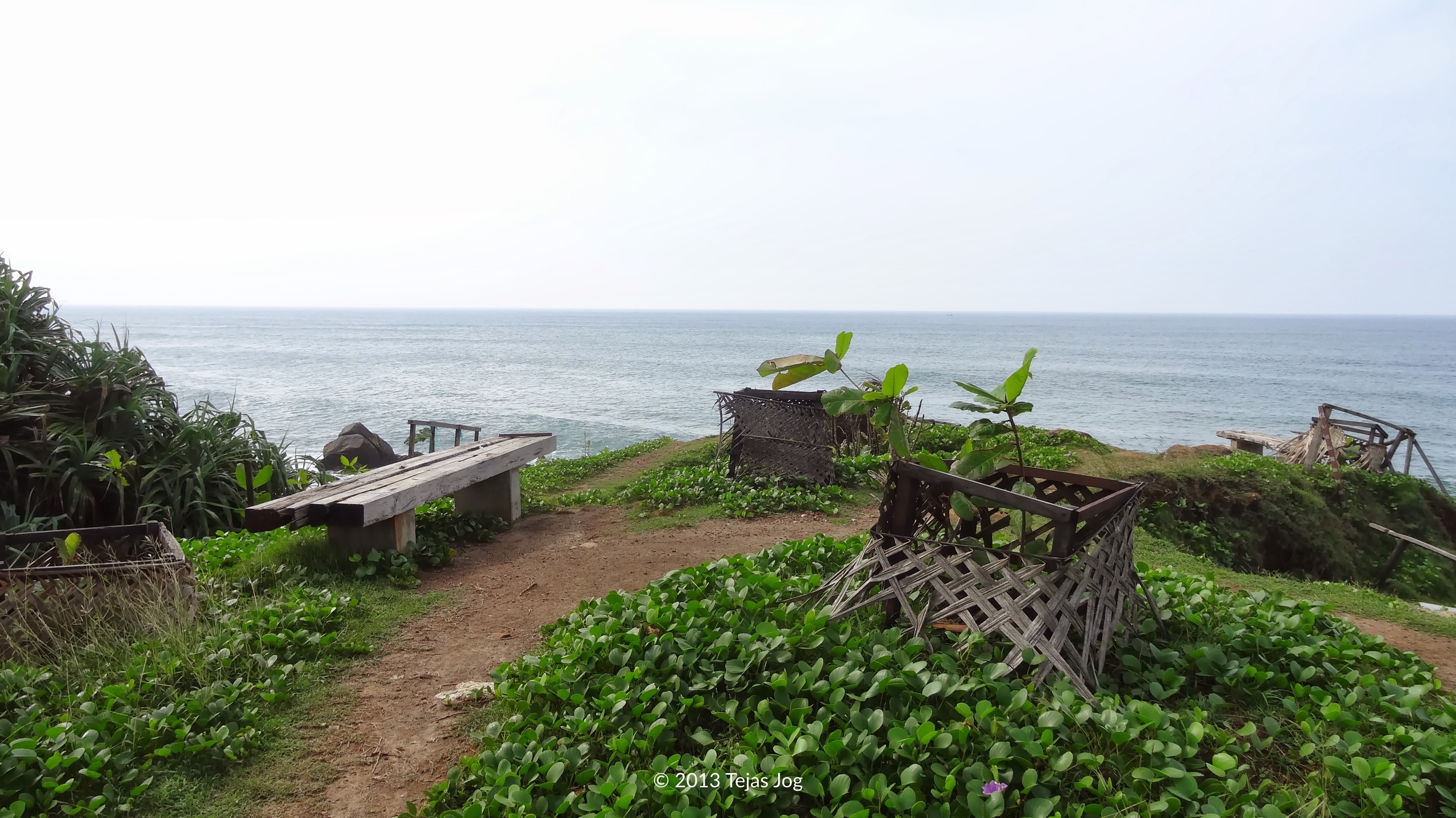 Parrot Rock