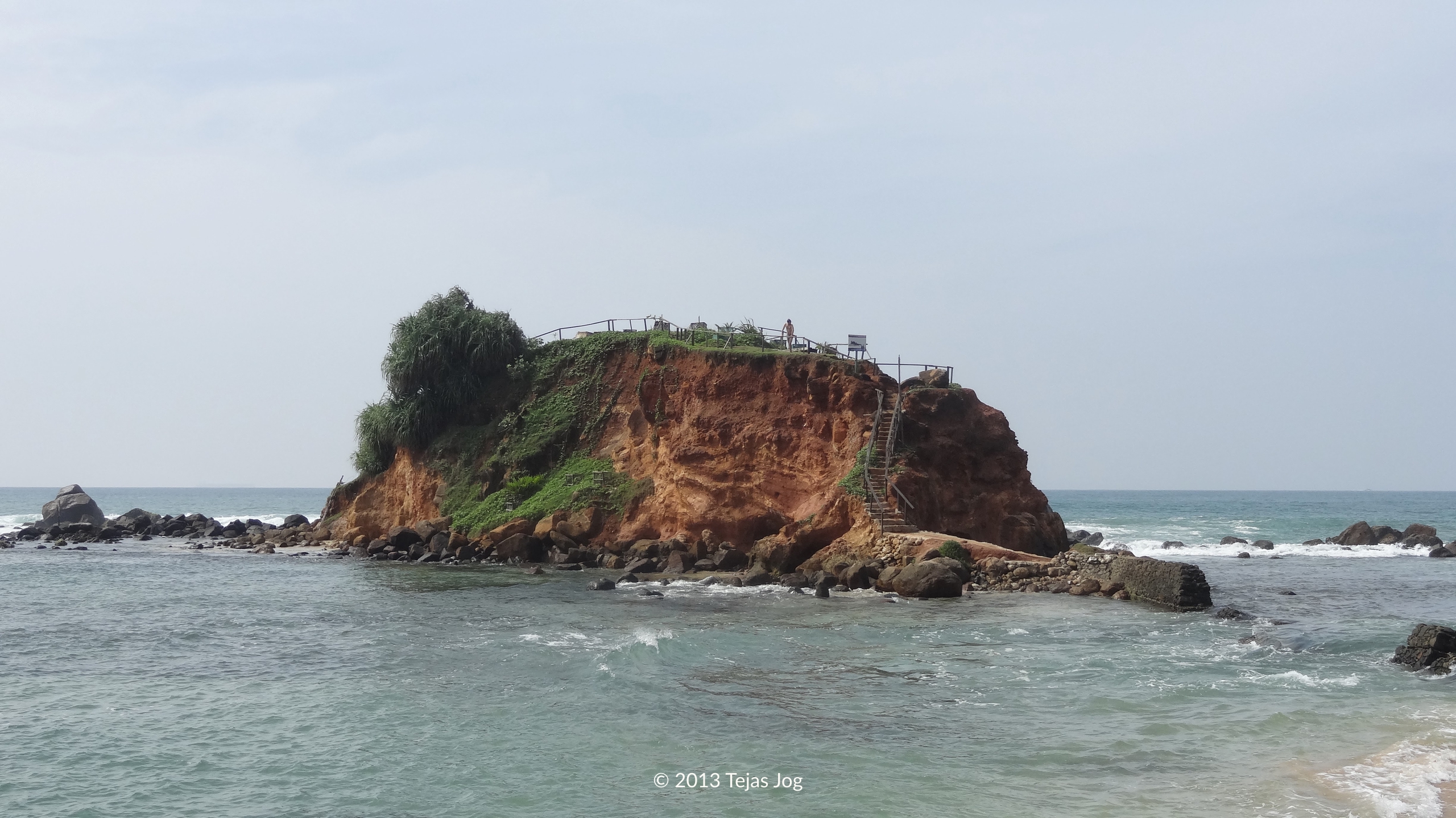 Parrot Rock
