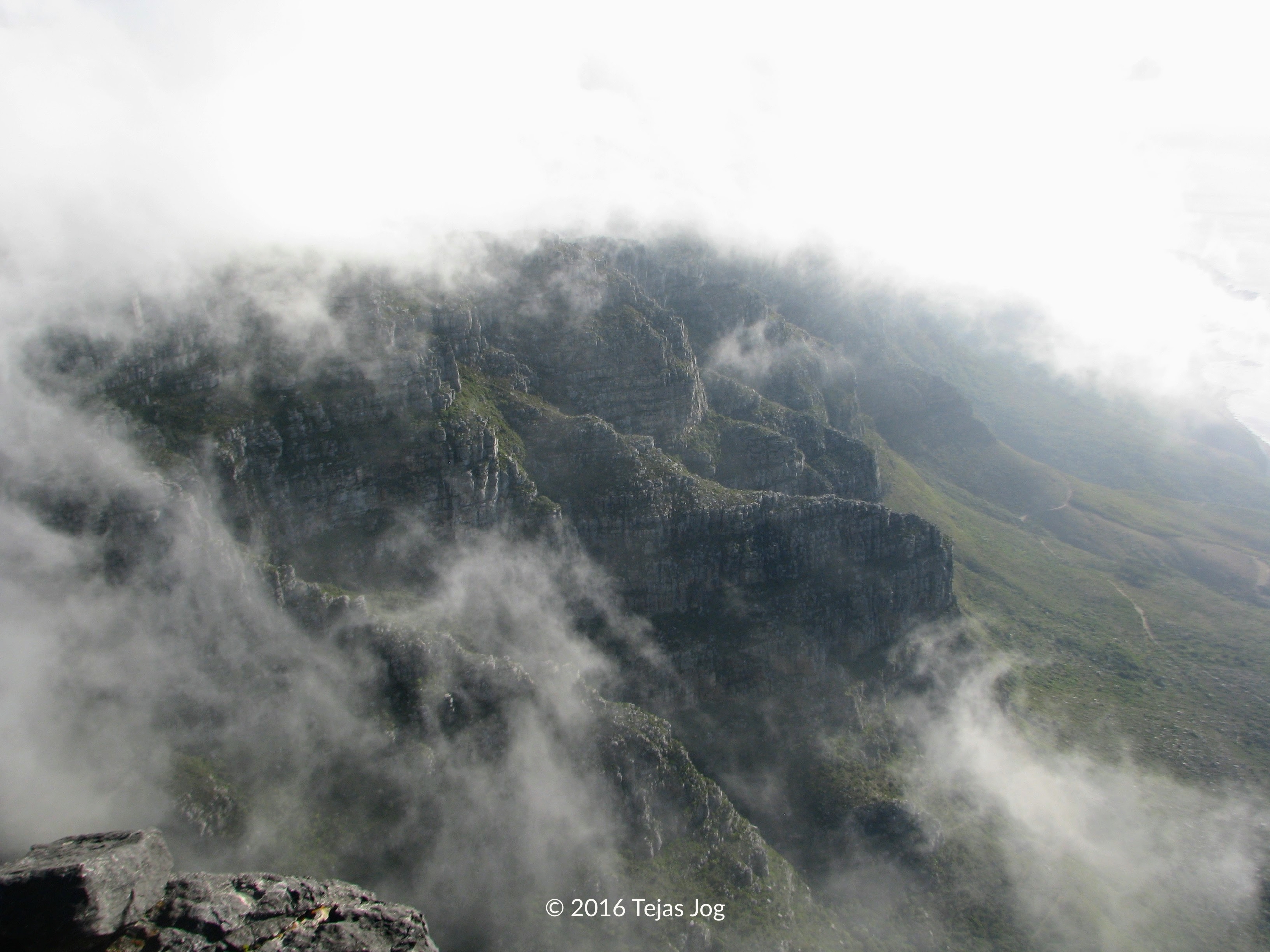 Table Mountain Nature Reserve