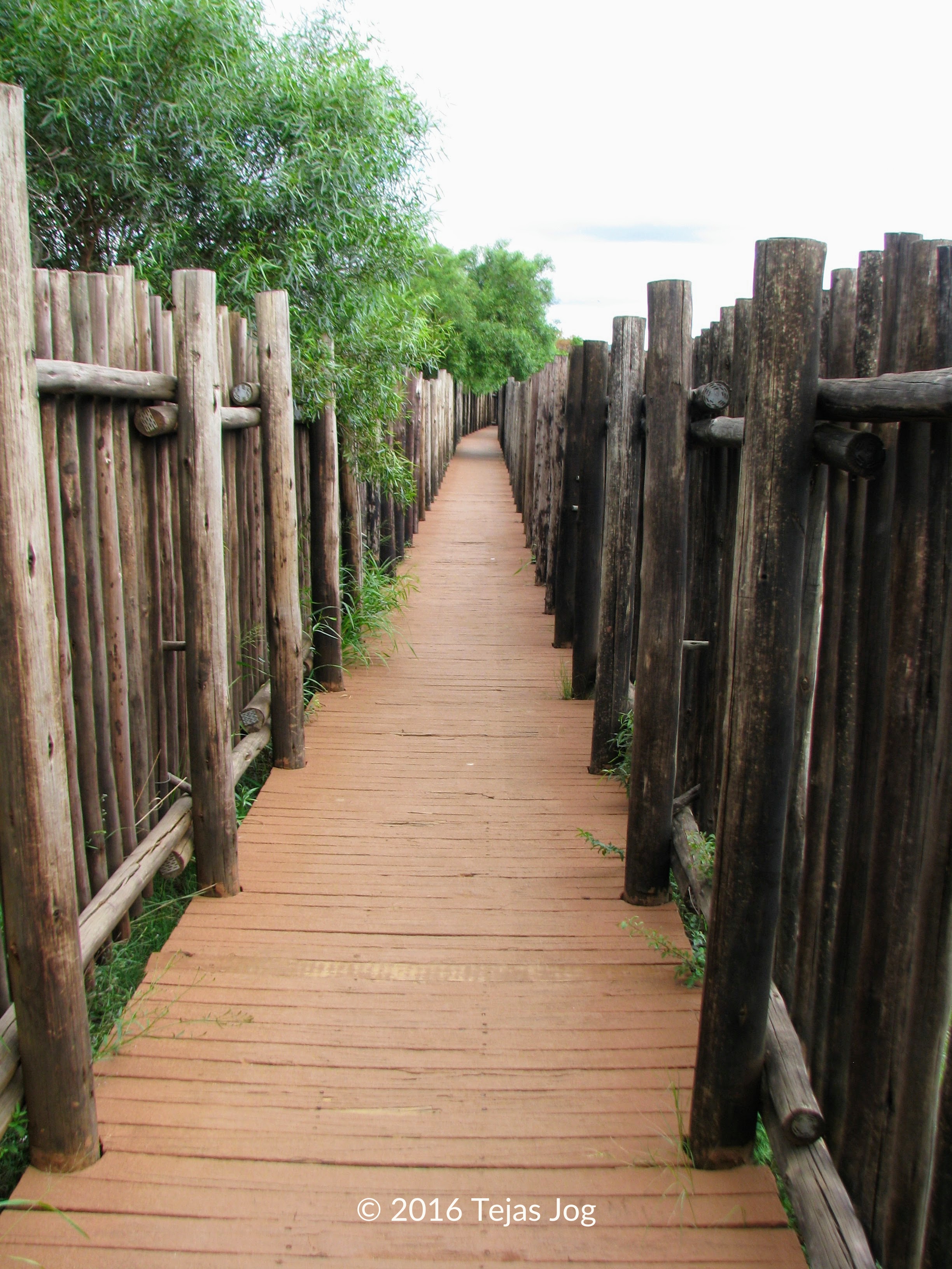 Manyane Bridge