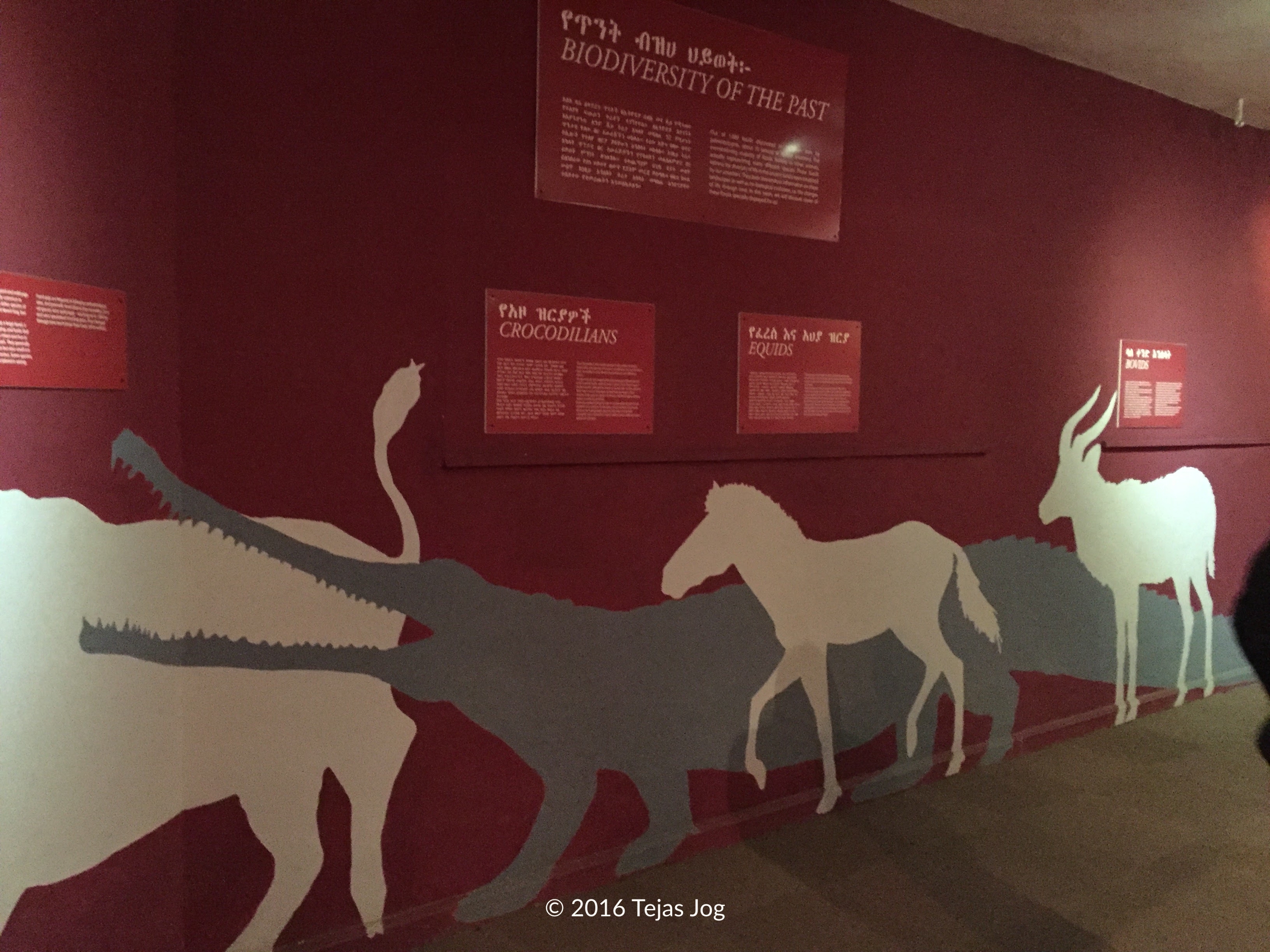 The National Museum of Ethiopia
