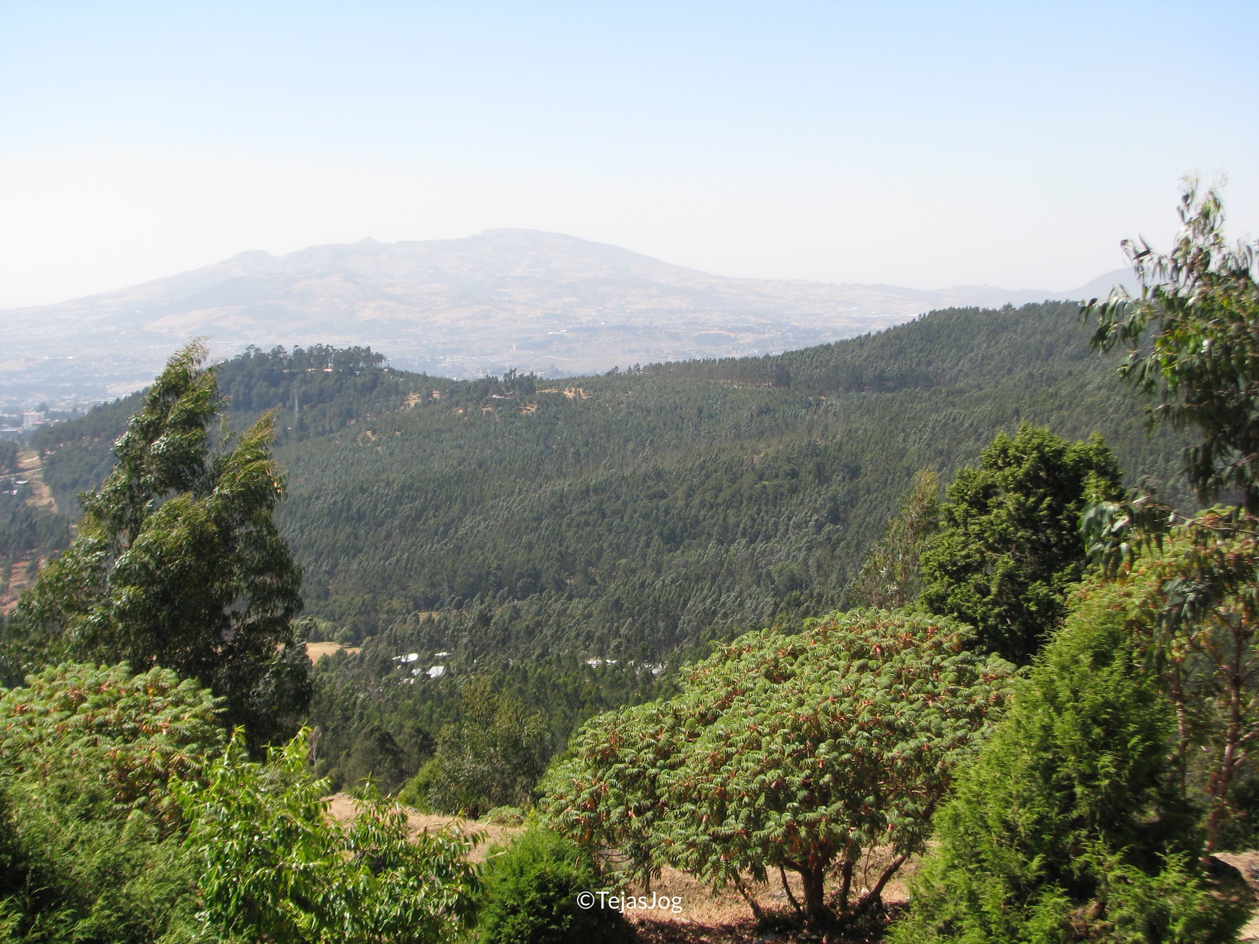 Entoto Hill
