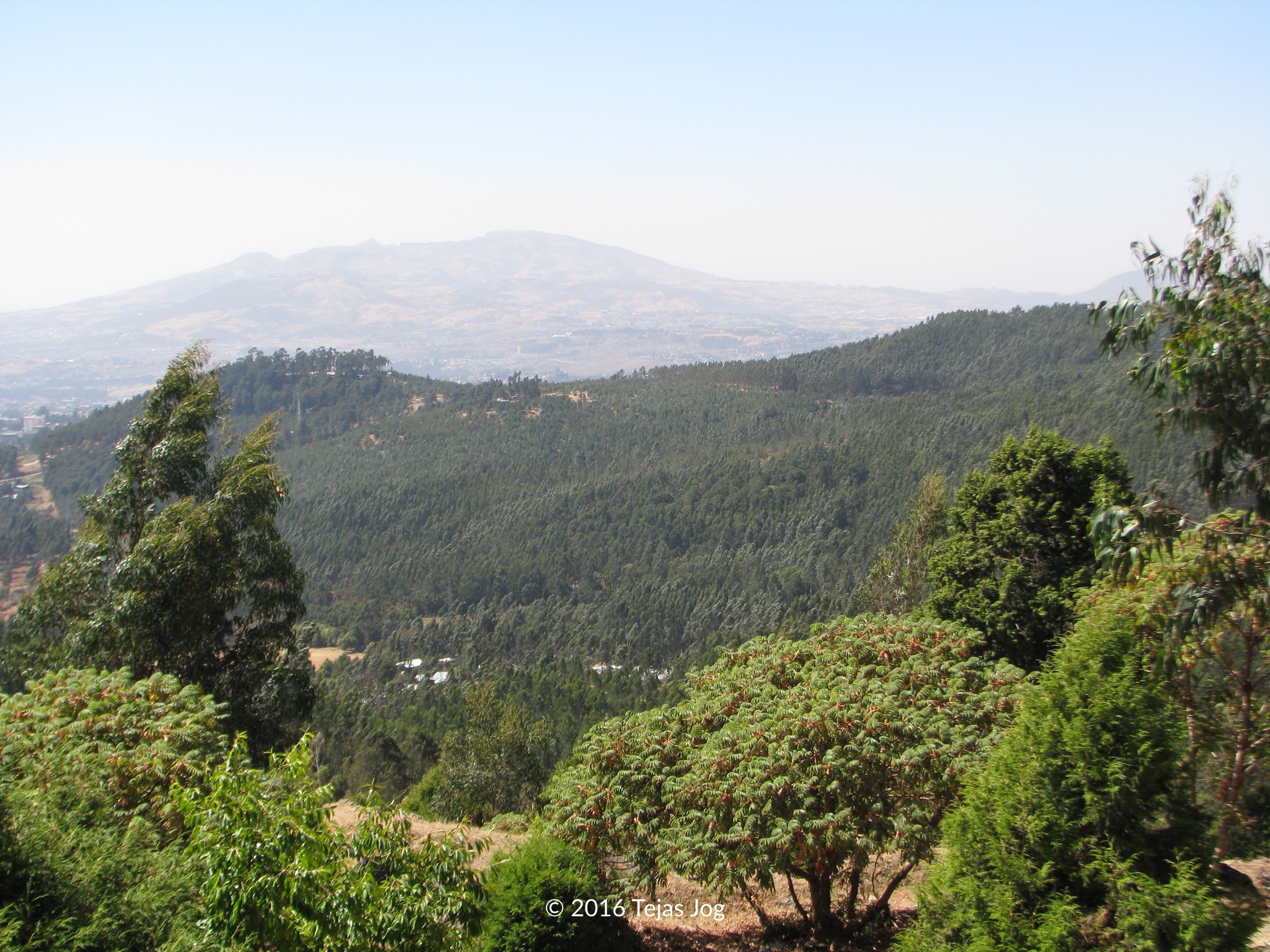 Entoto Hill