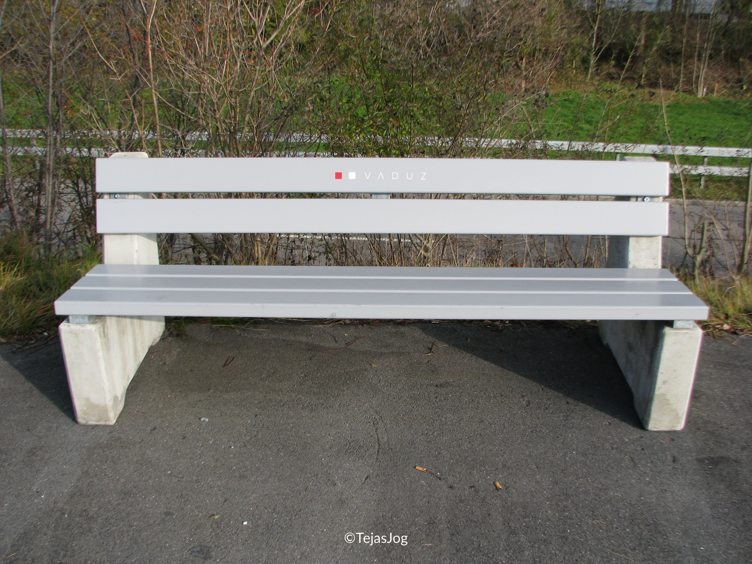 Rhine river bank