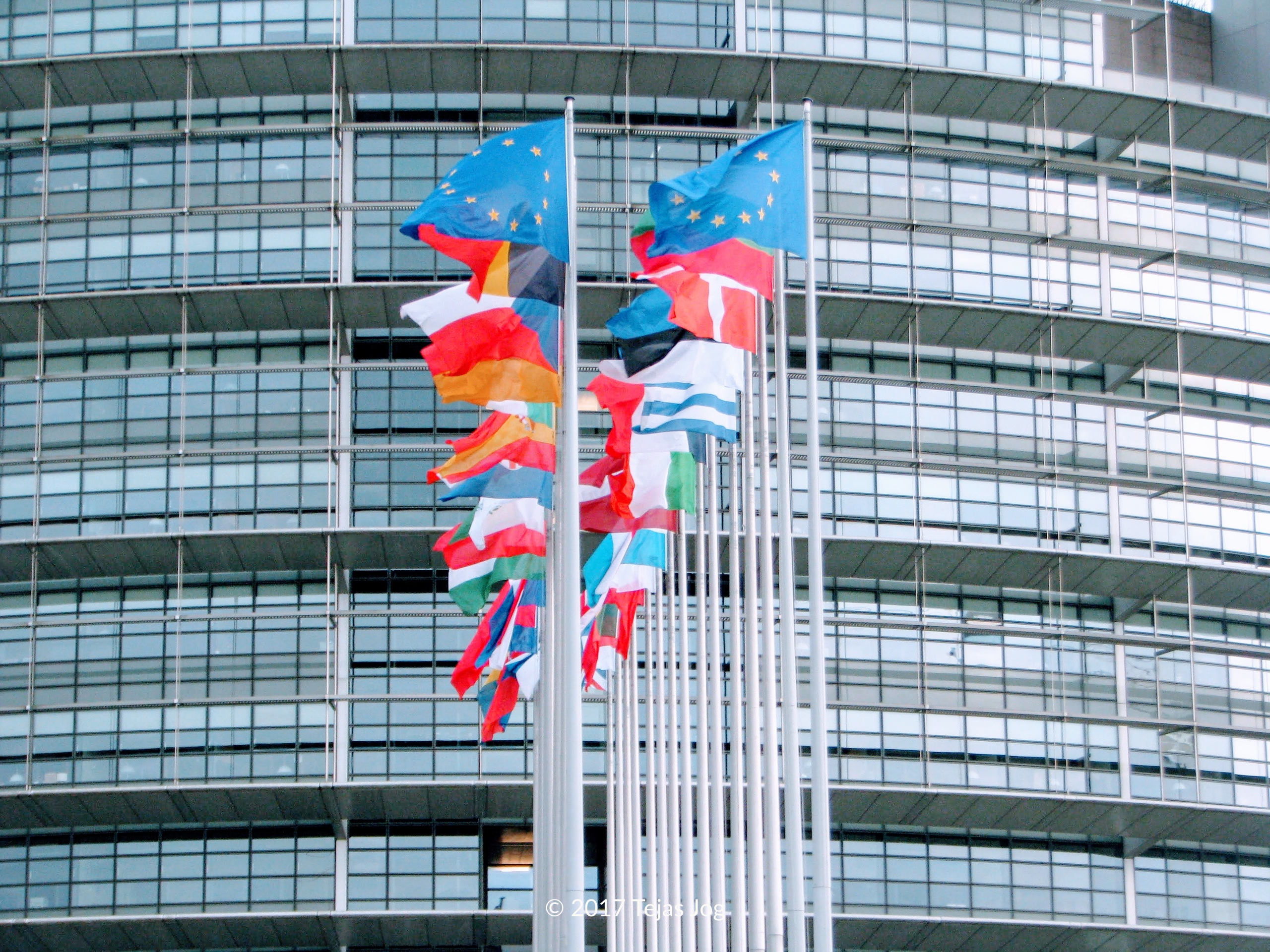 European Parliament
