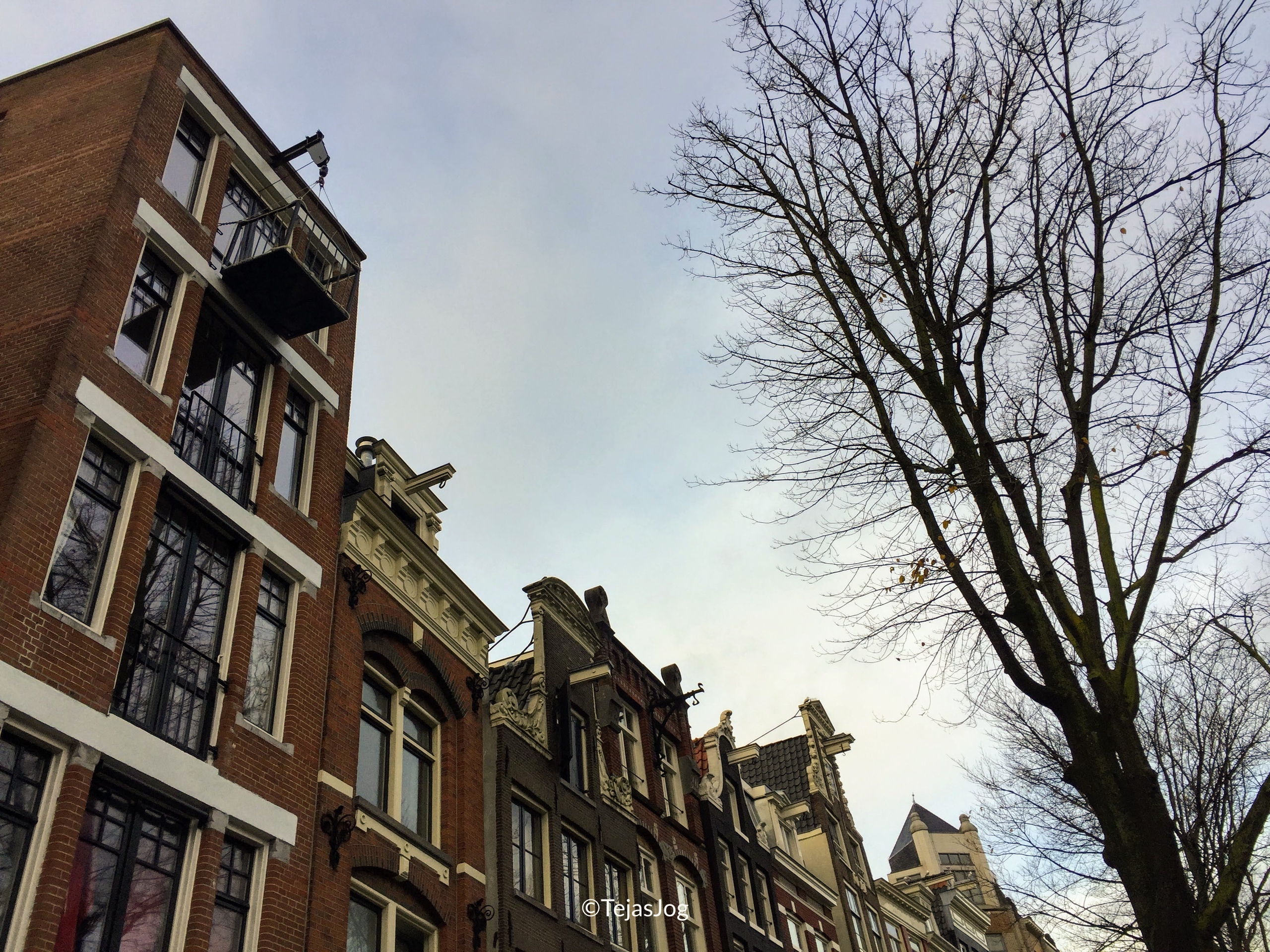 Canal houses
