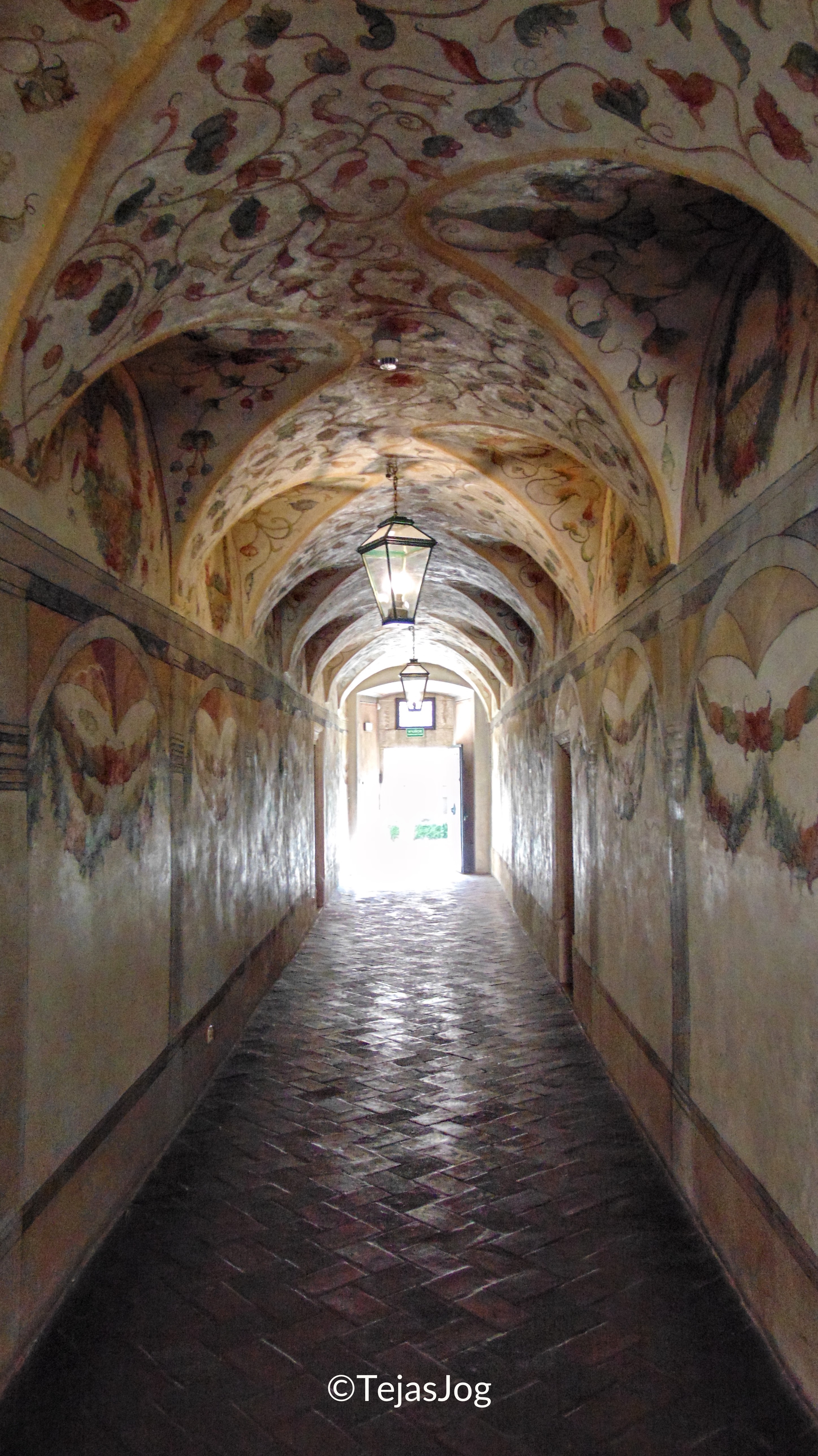 Collegium Maius