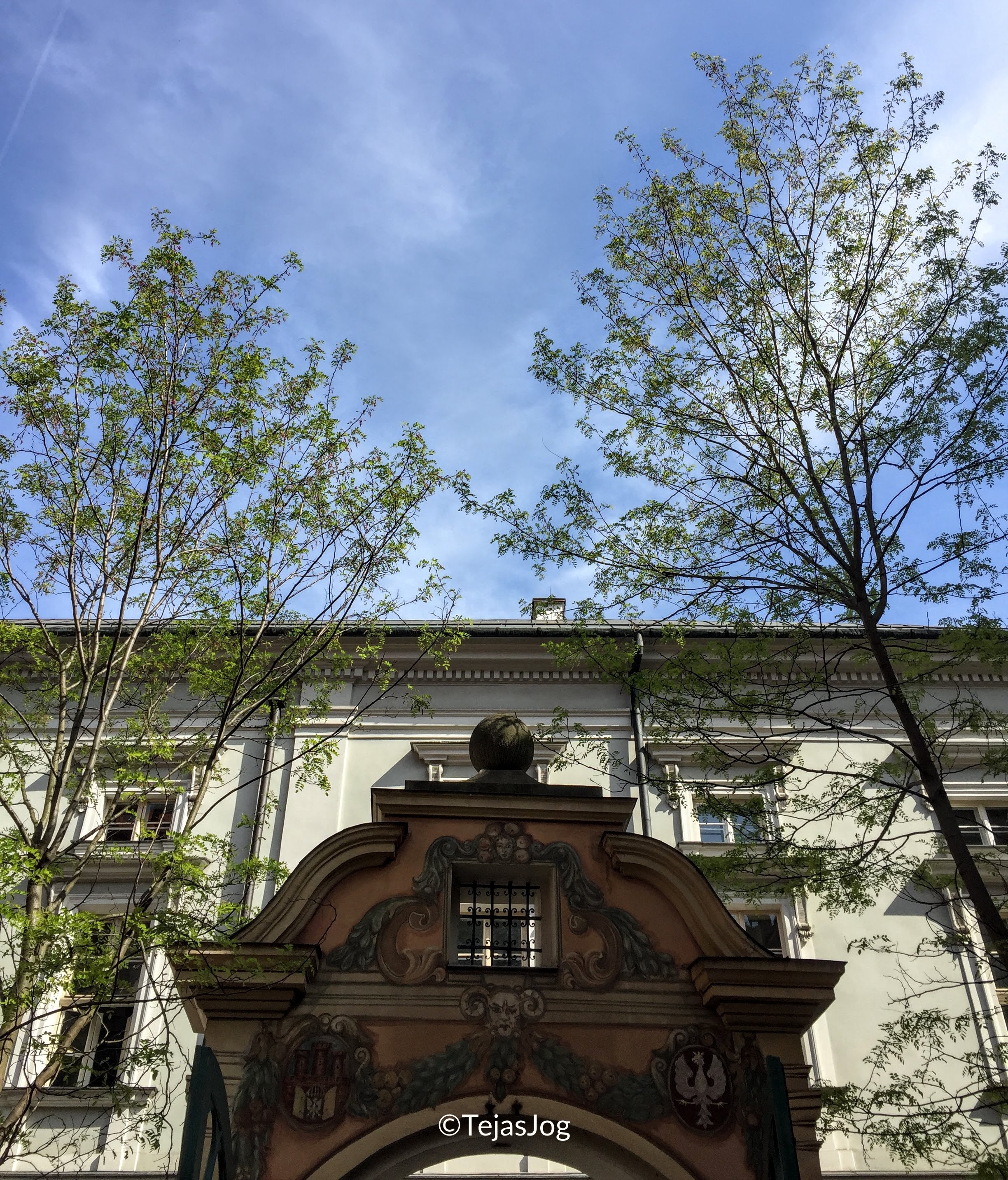 Collegium Maius