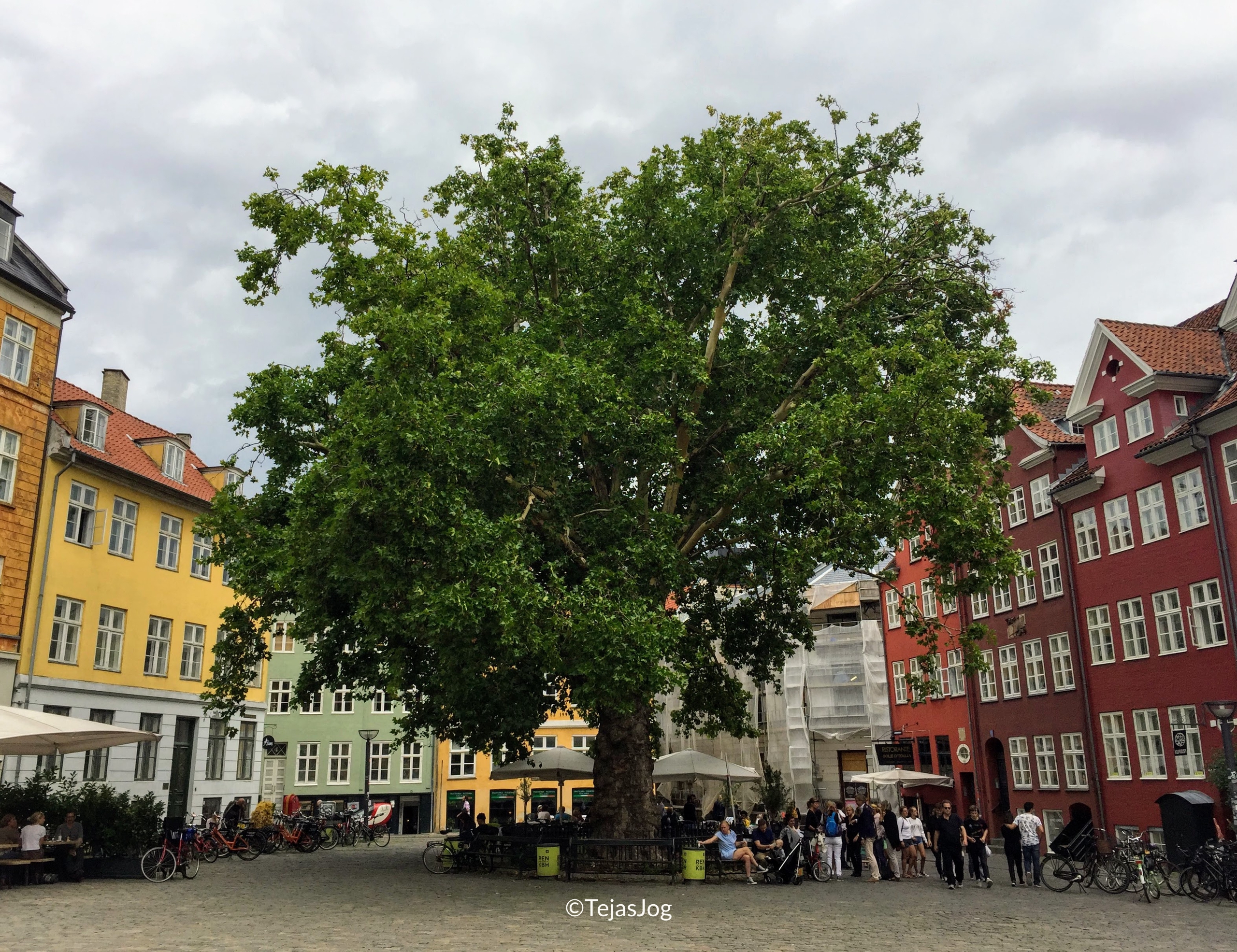 Gråbrødretorv