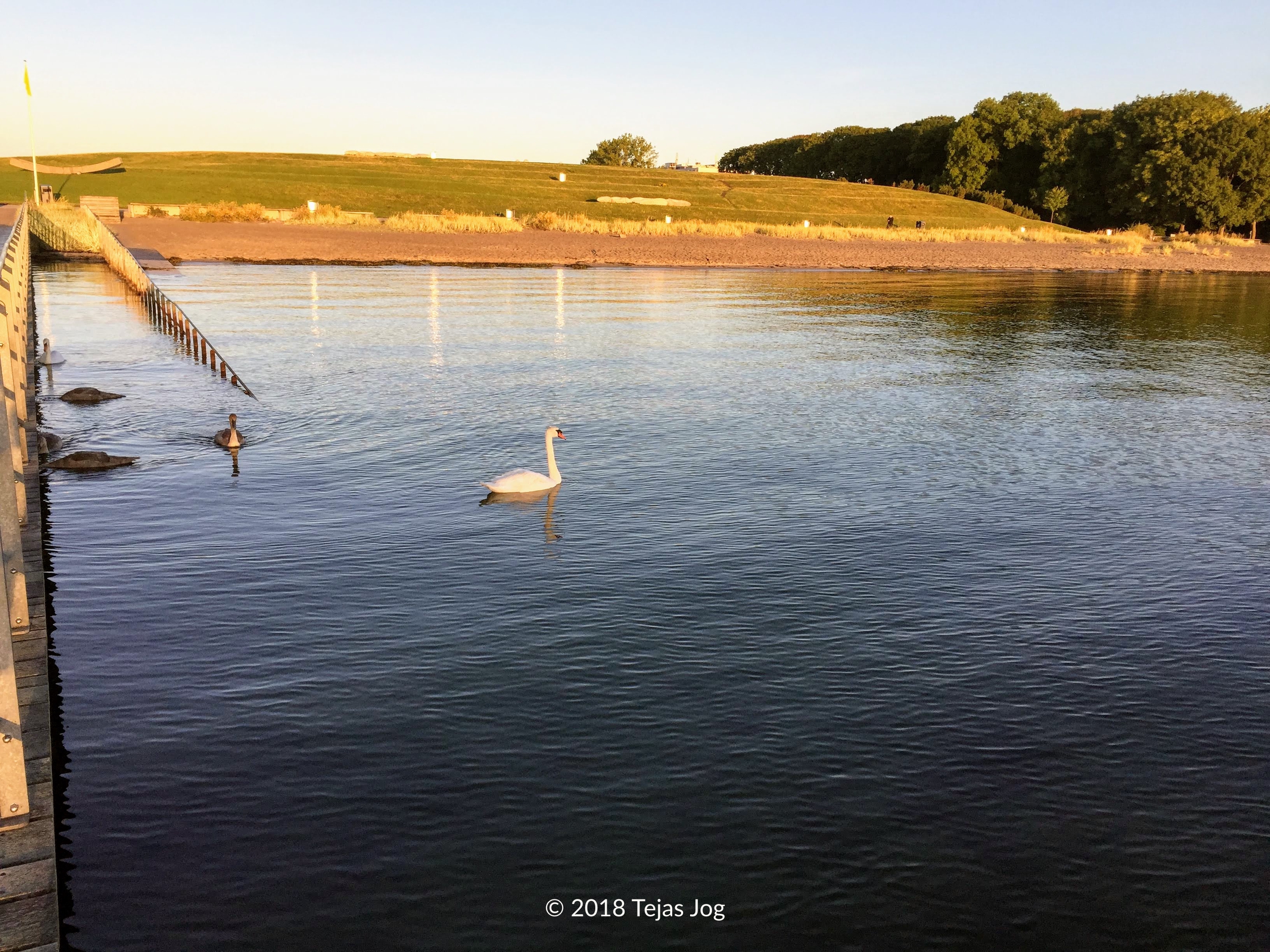 Kastrup Sea Bath