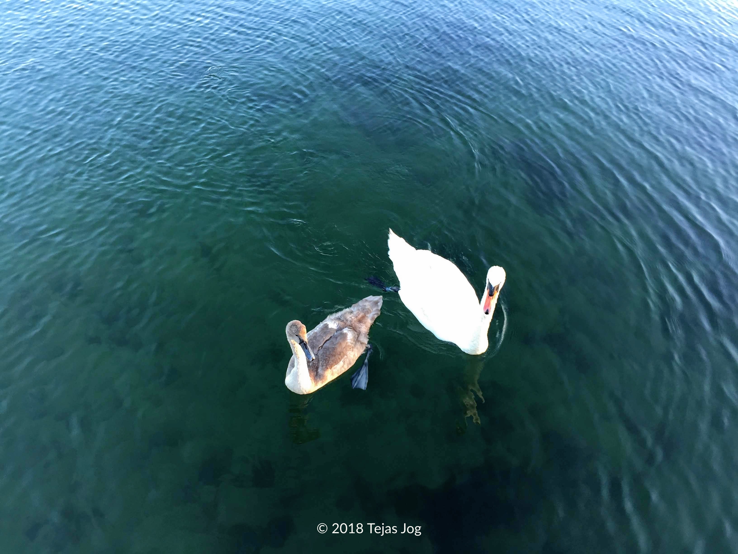 Kastrup Sea Bath