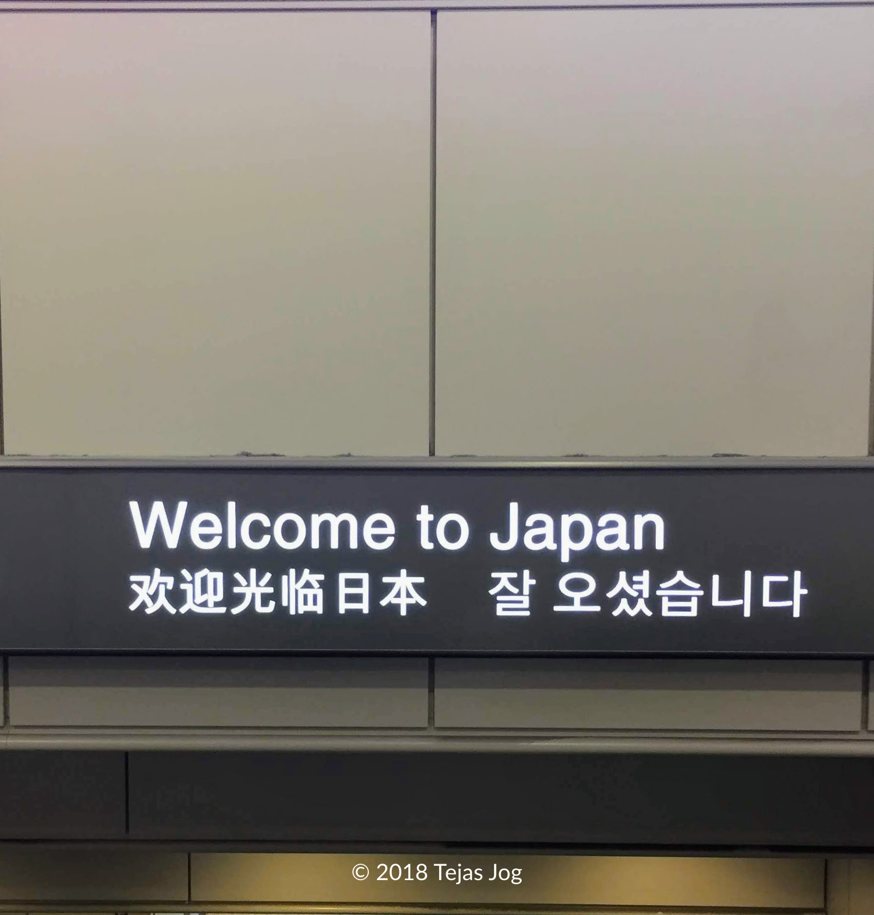 Tokyo Narita Airport
