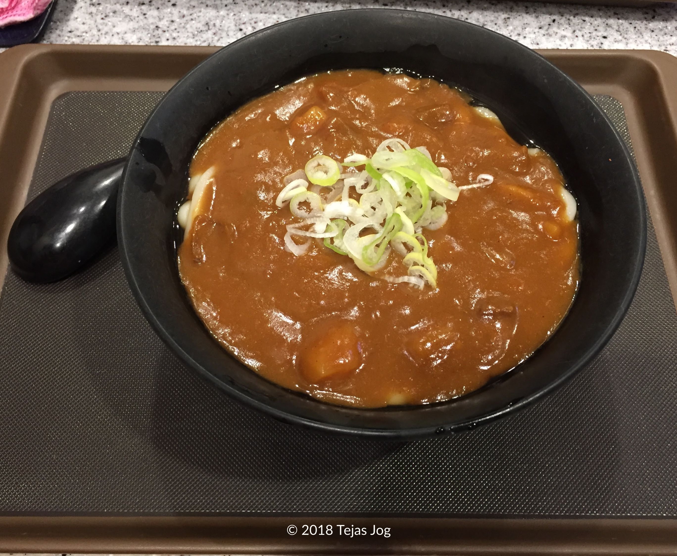Lunch at Fuji Soba