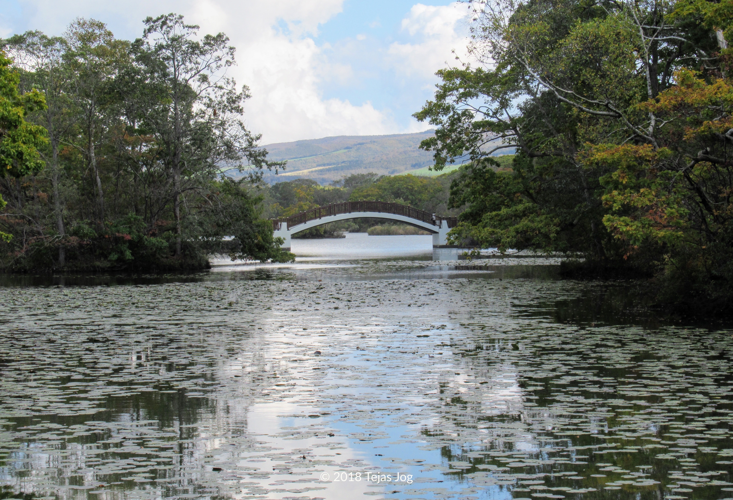 Onuma Quasi-National Park