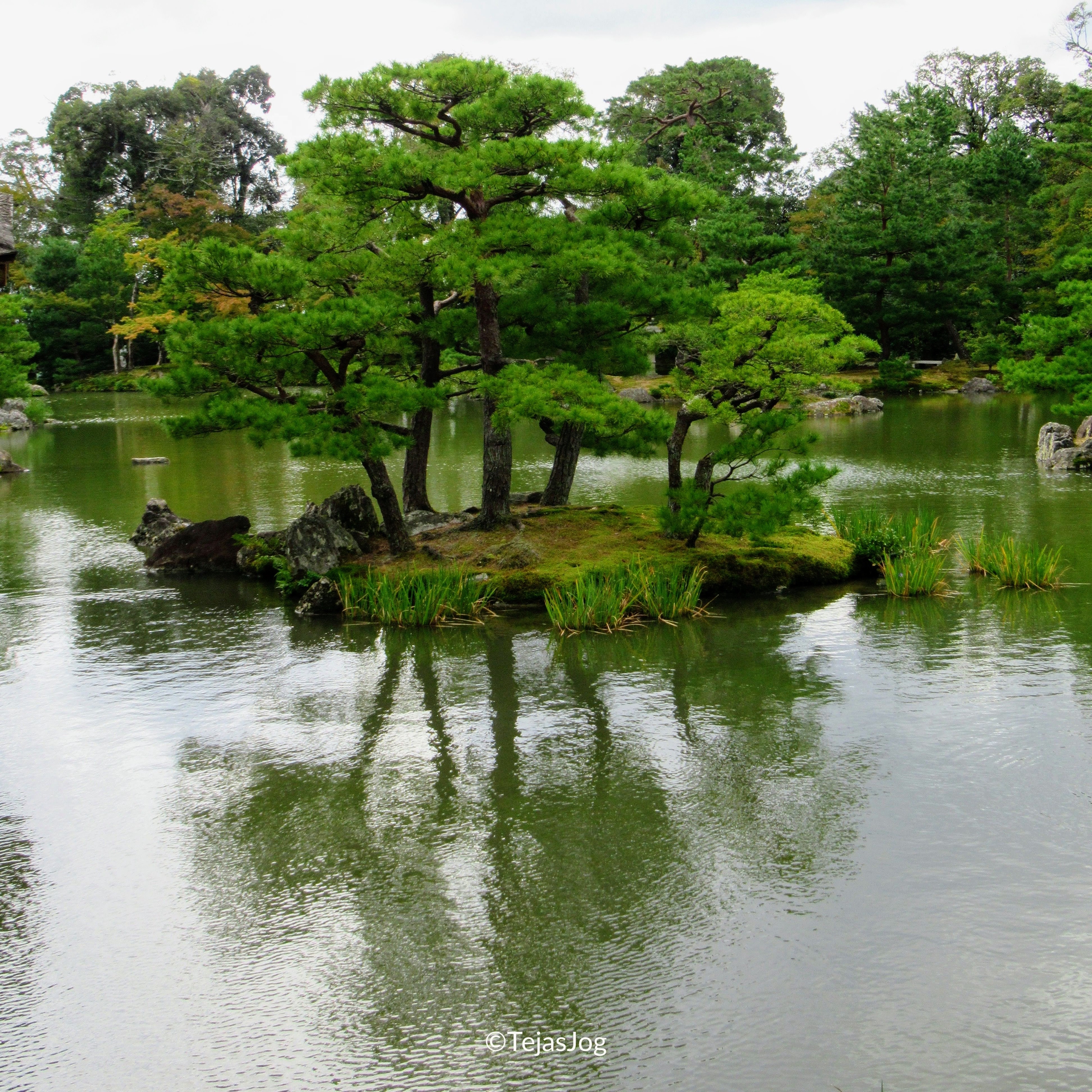 Tsurushima
