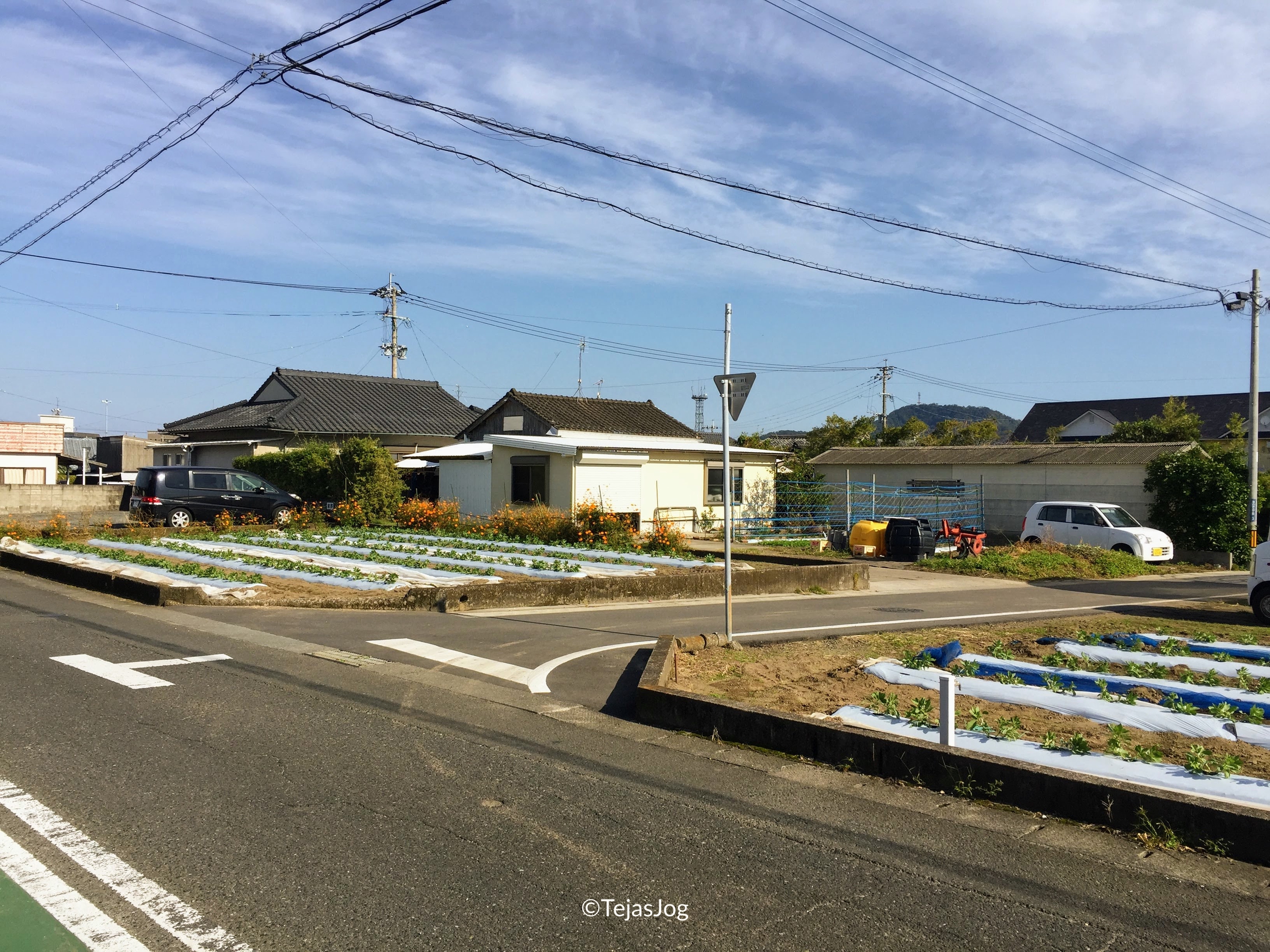 Ibusuki