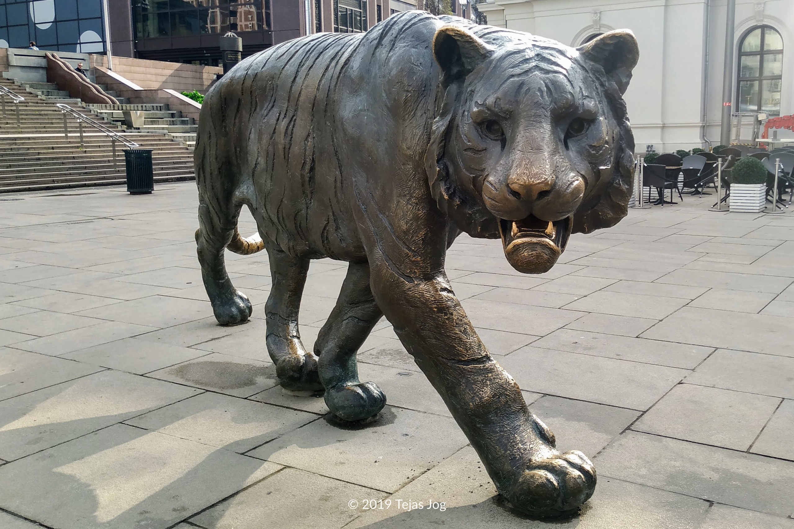 The Tiger