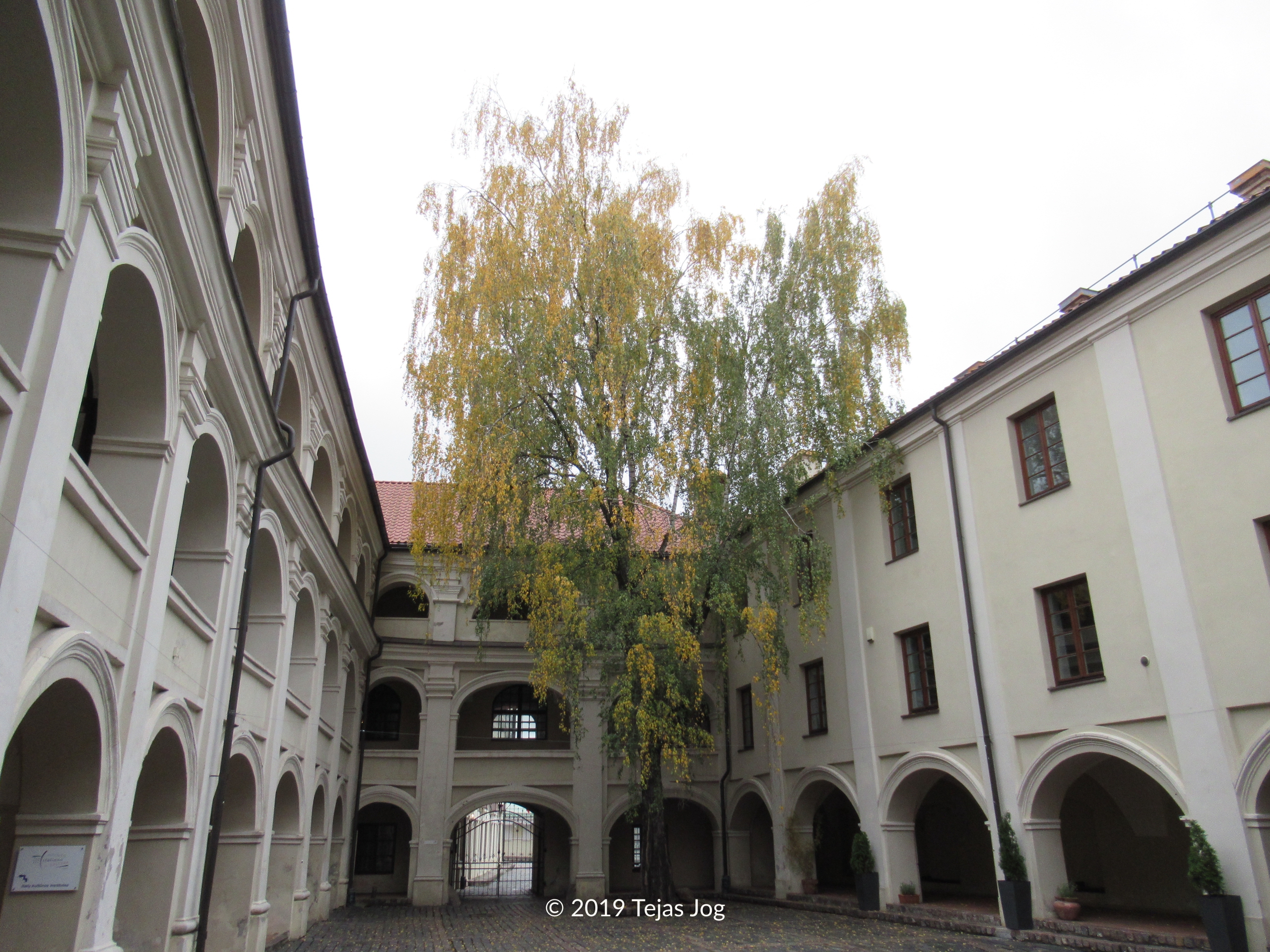 Alumnato kiemelis