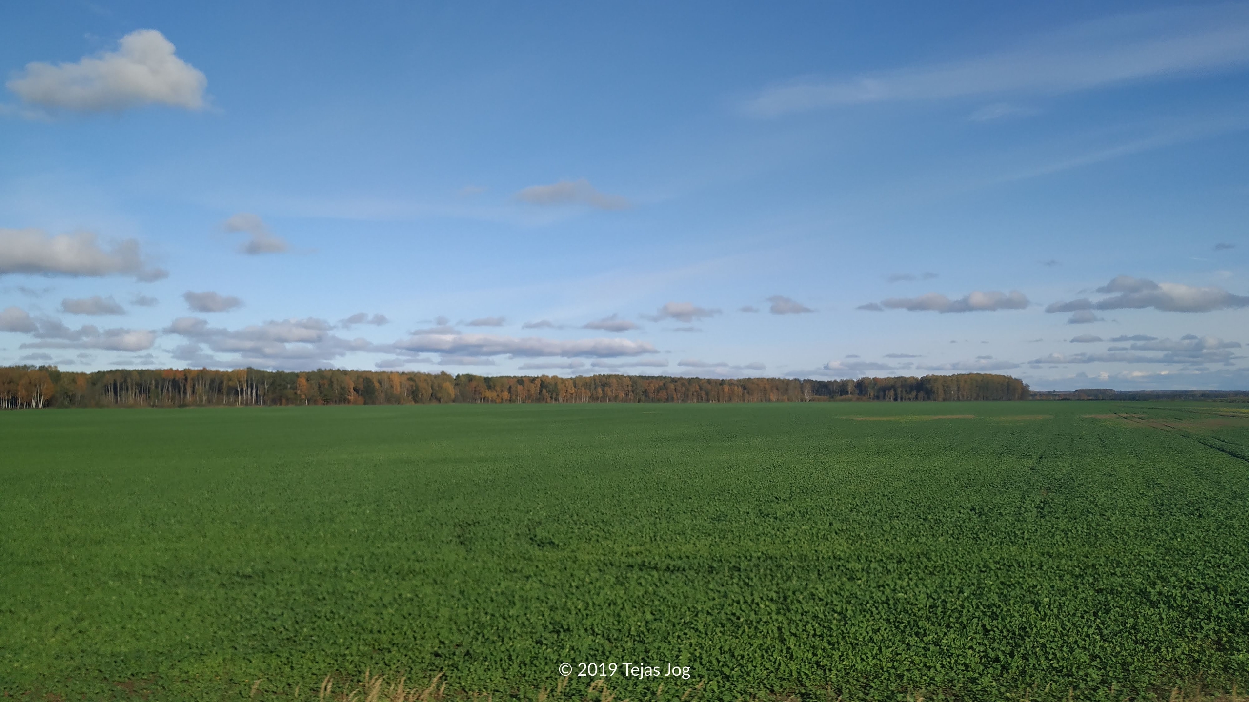 LUXExpress from Vilnius to Riga