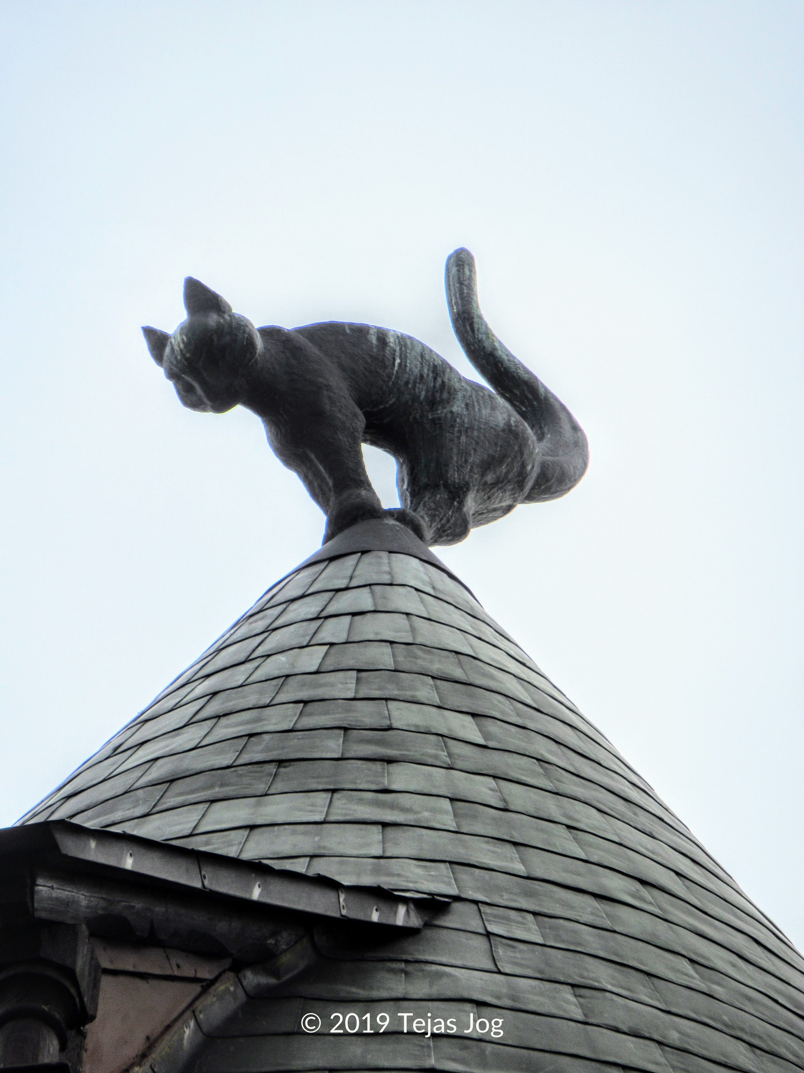 Cat House