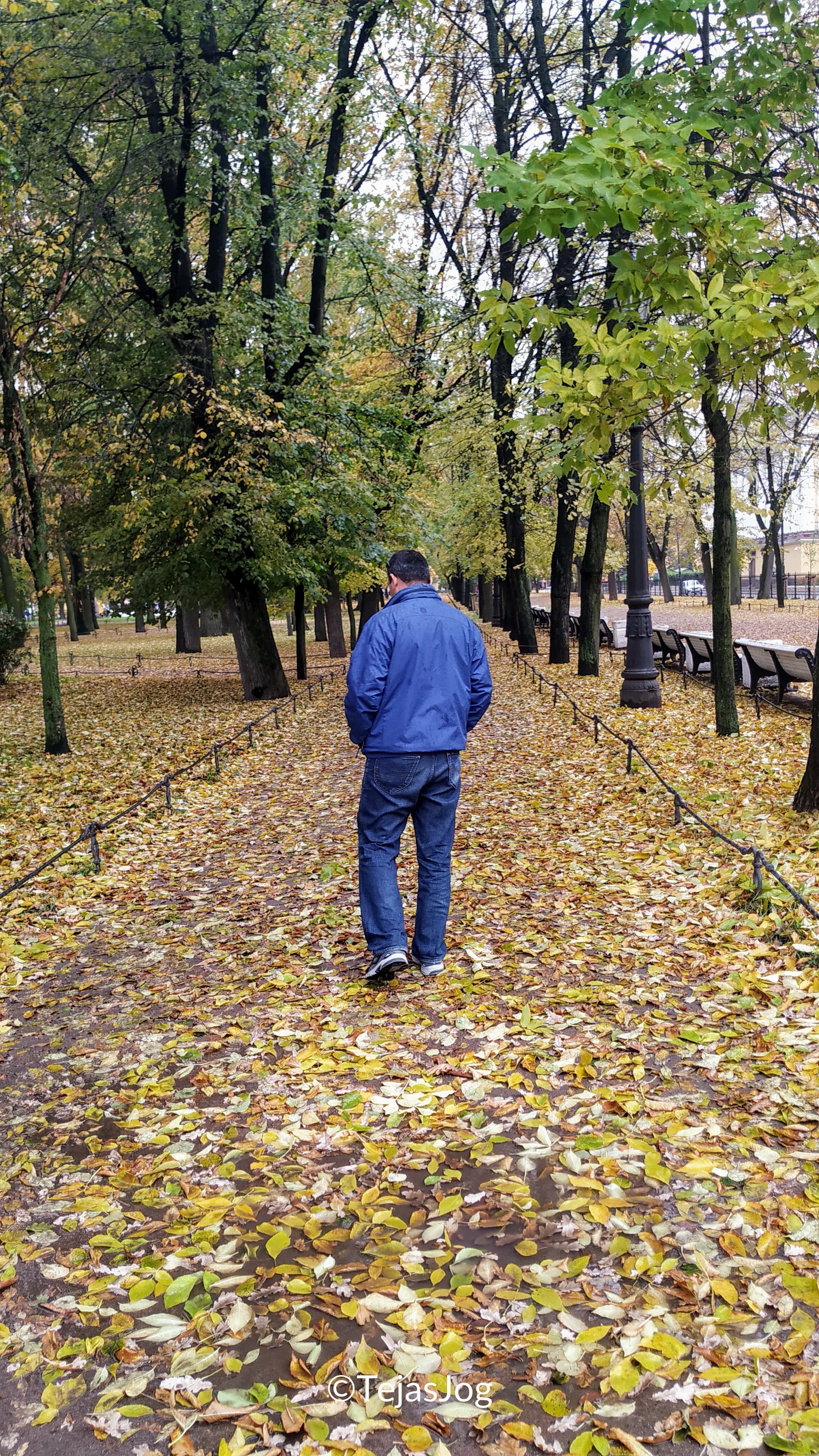 Mikhailovsky Garden