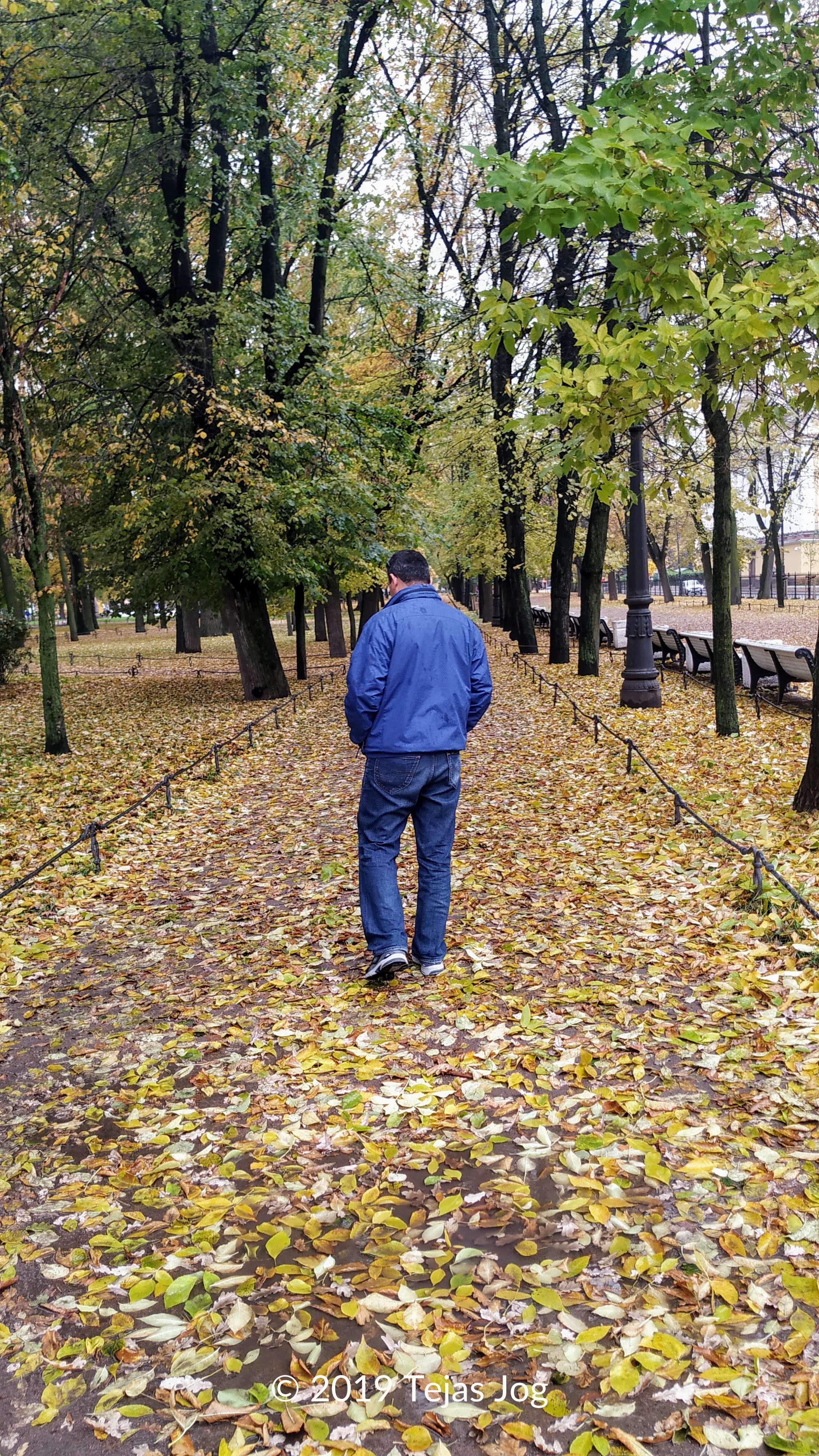 Mikhailovsky Garden