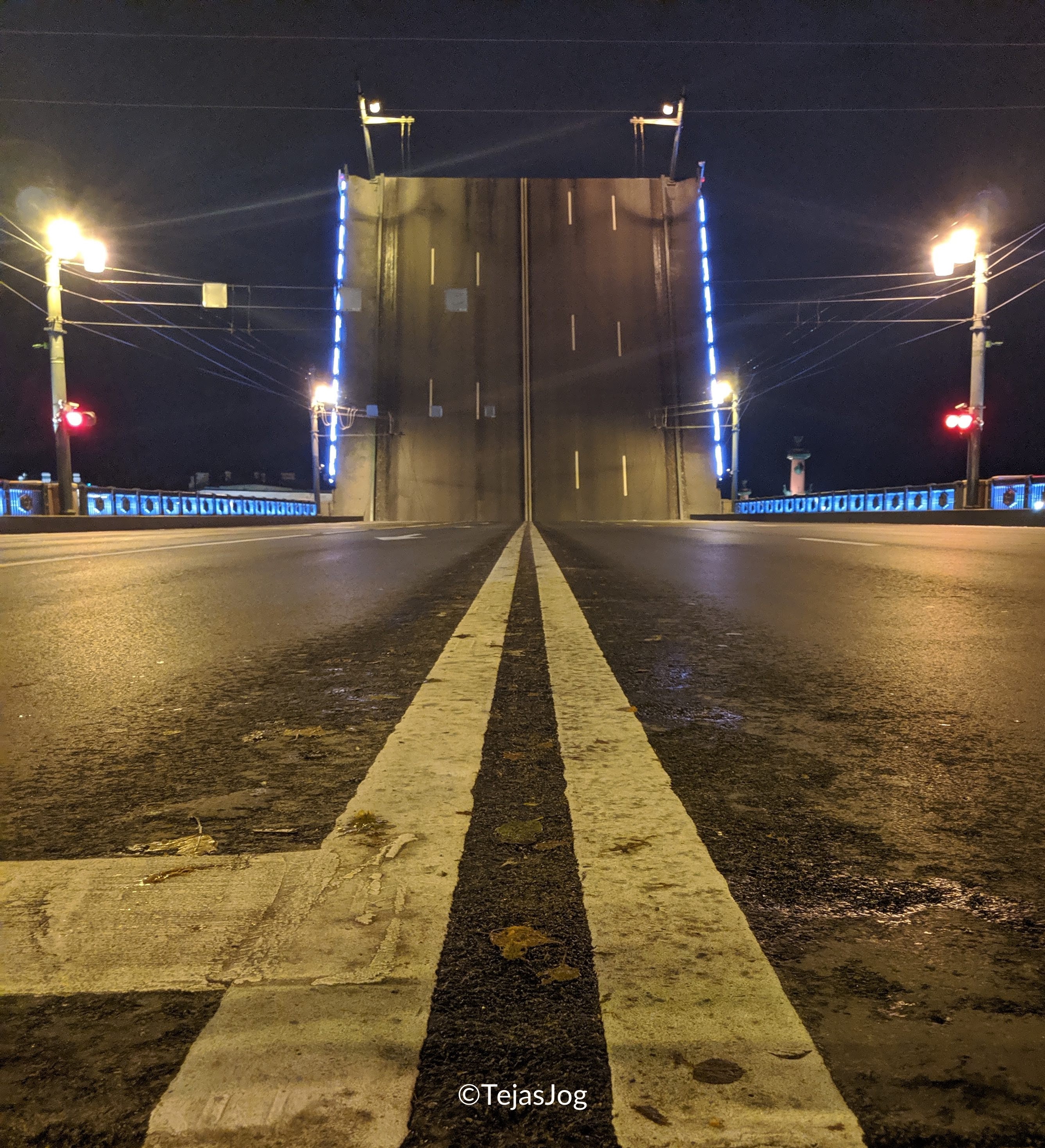 Palace bridge