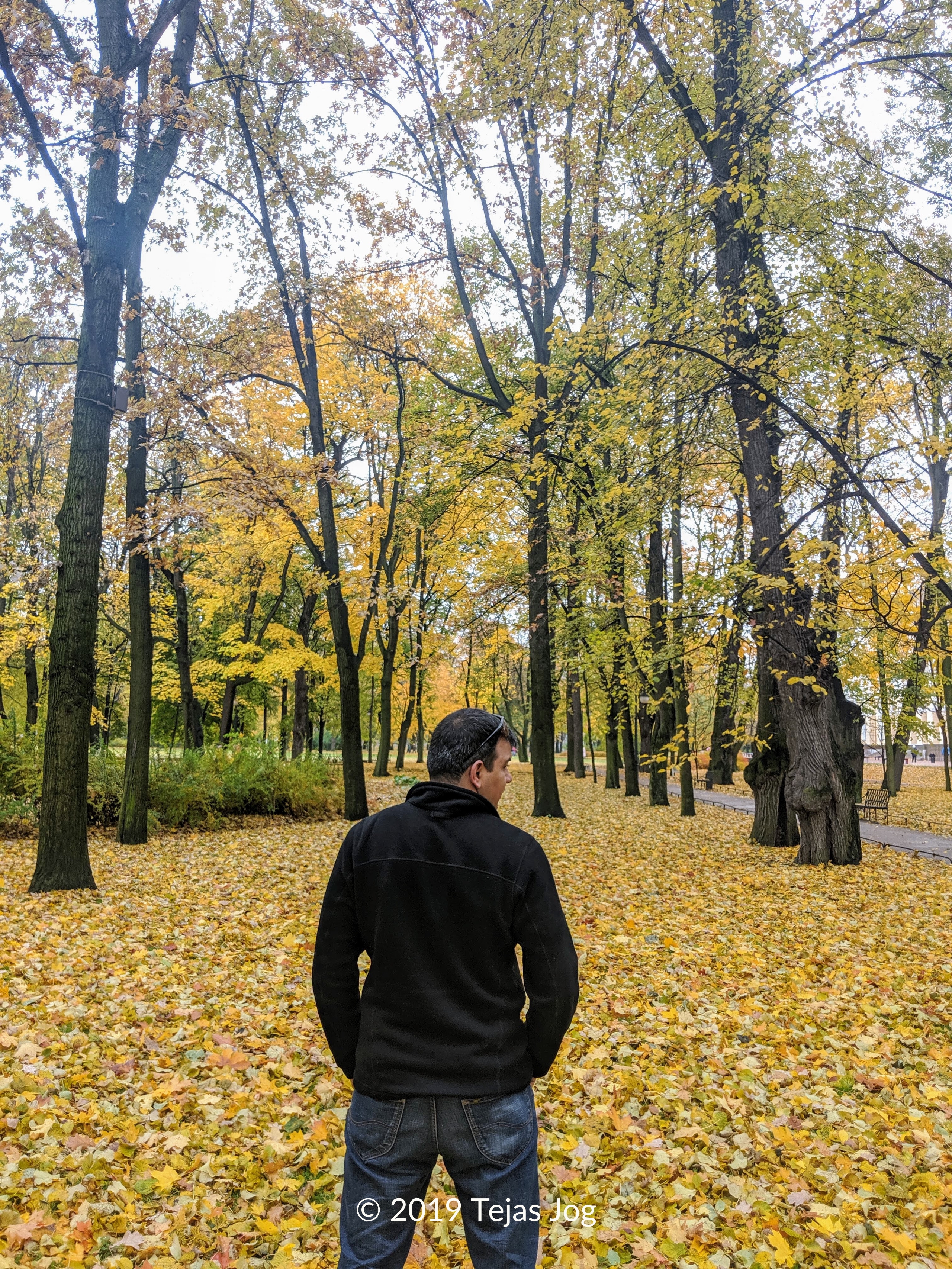 Mikhailovsky Garden