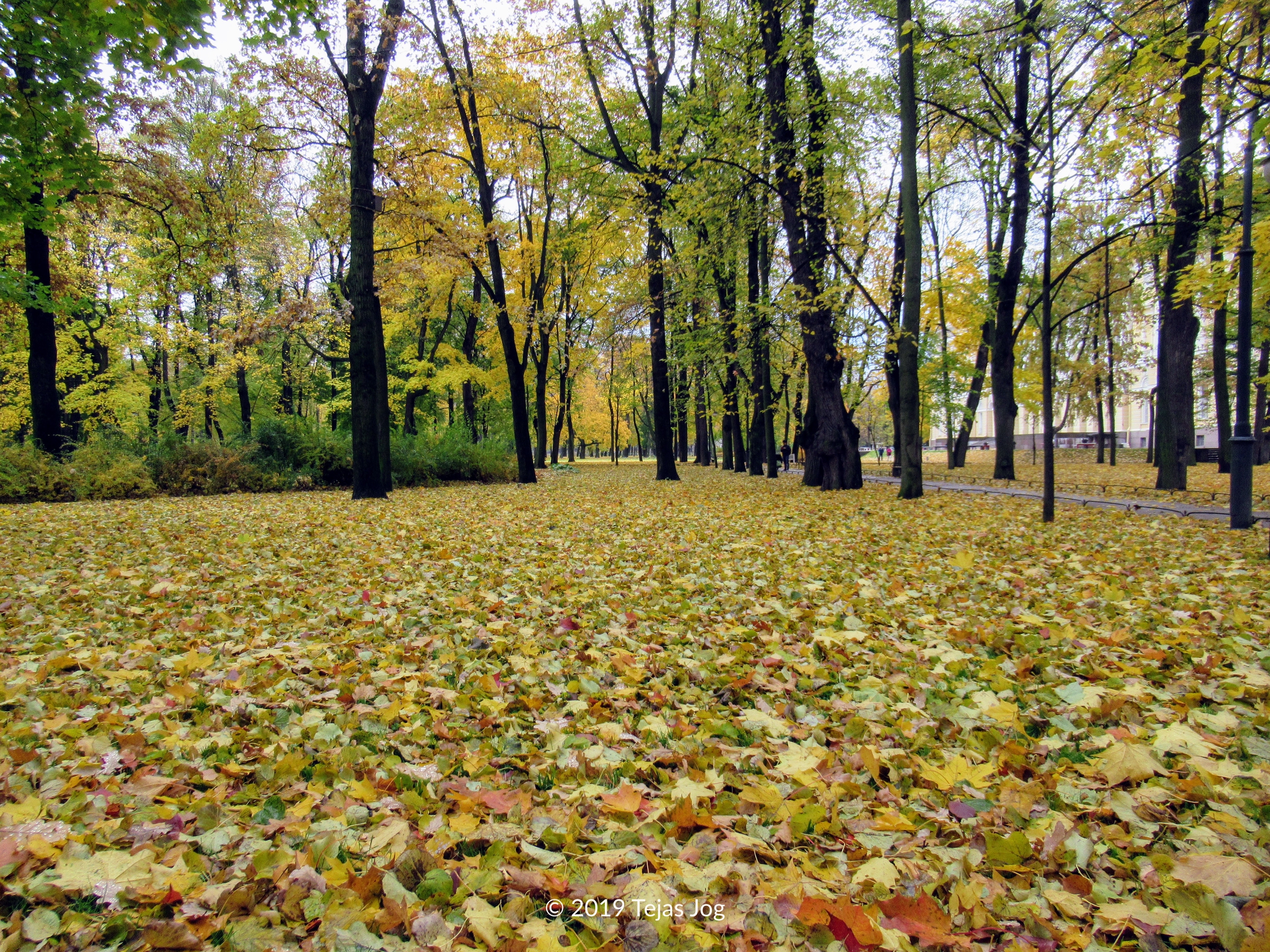 Mikhailovsky Garden
