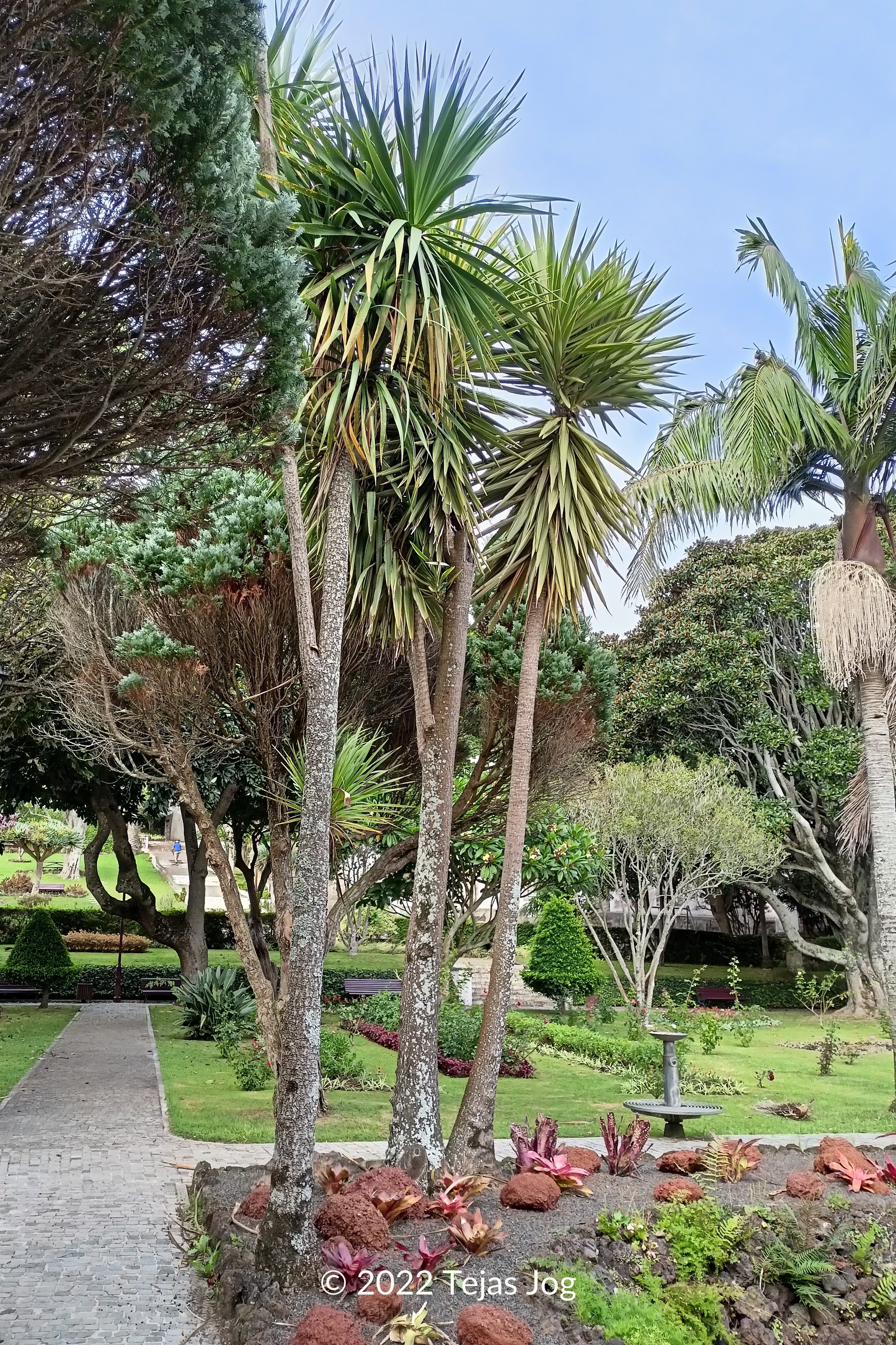 Jardim Duque da Terceira