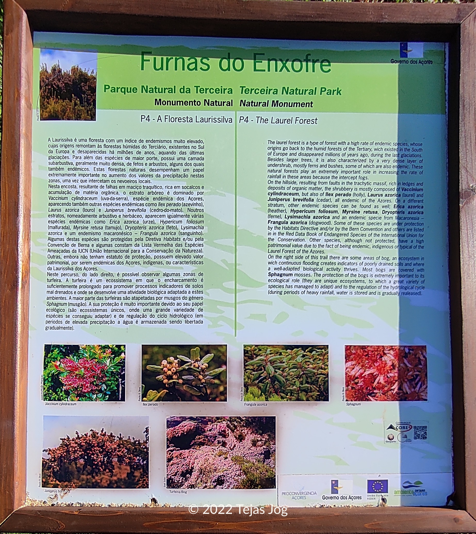 Furnas do Enxofre