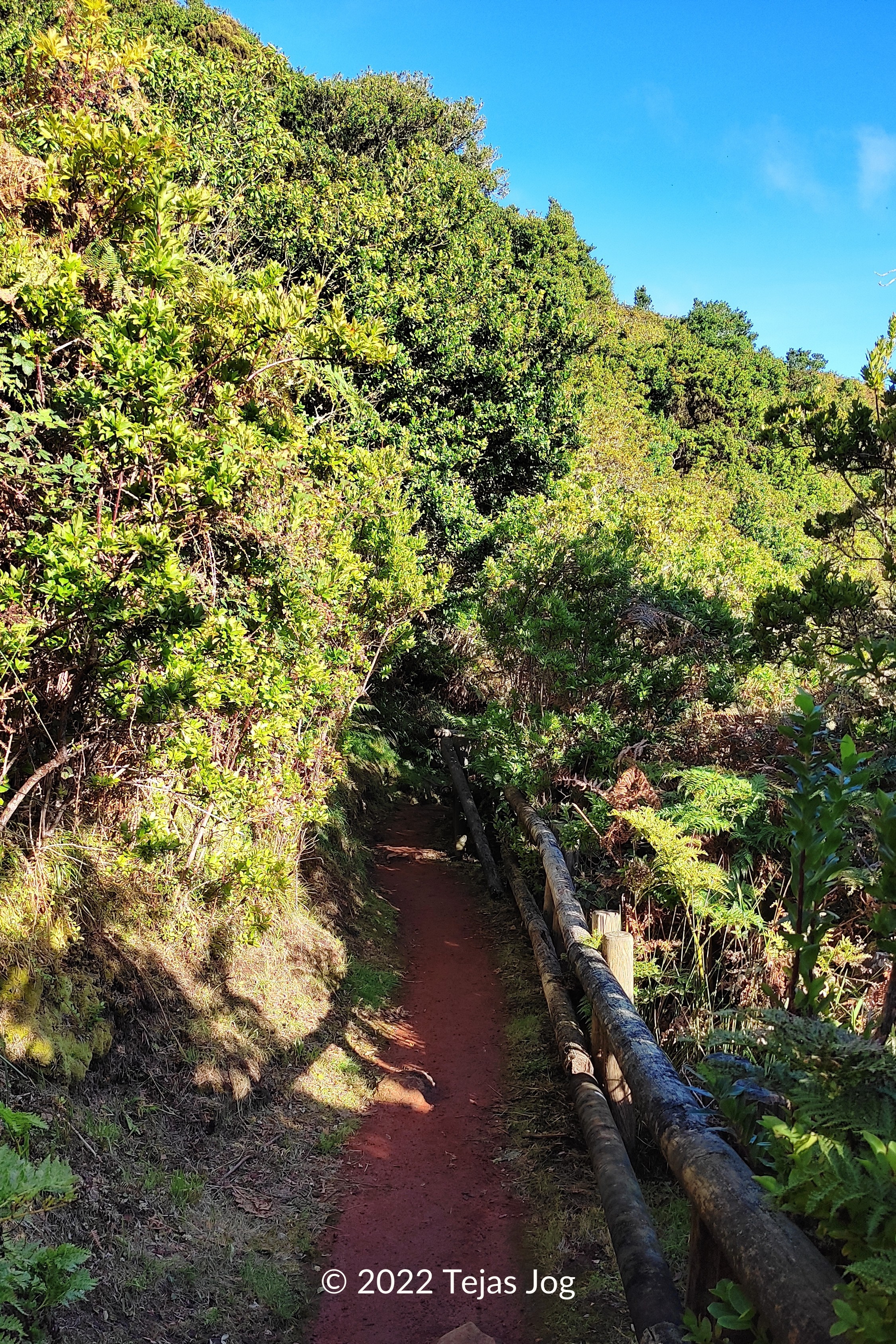 Furnas do Enxofre