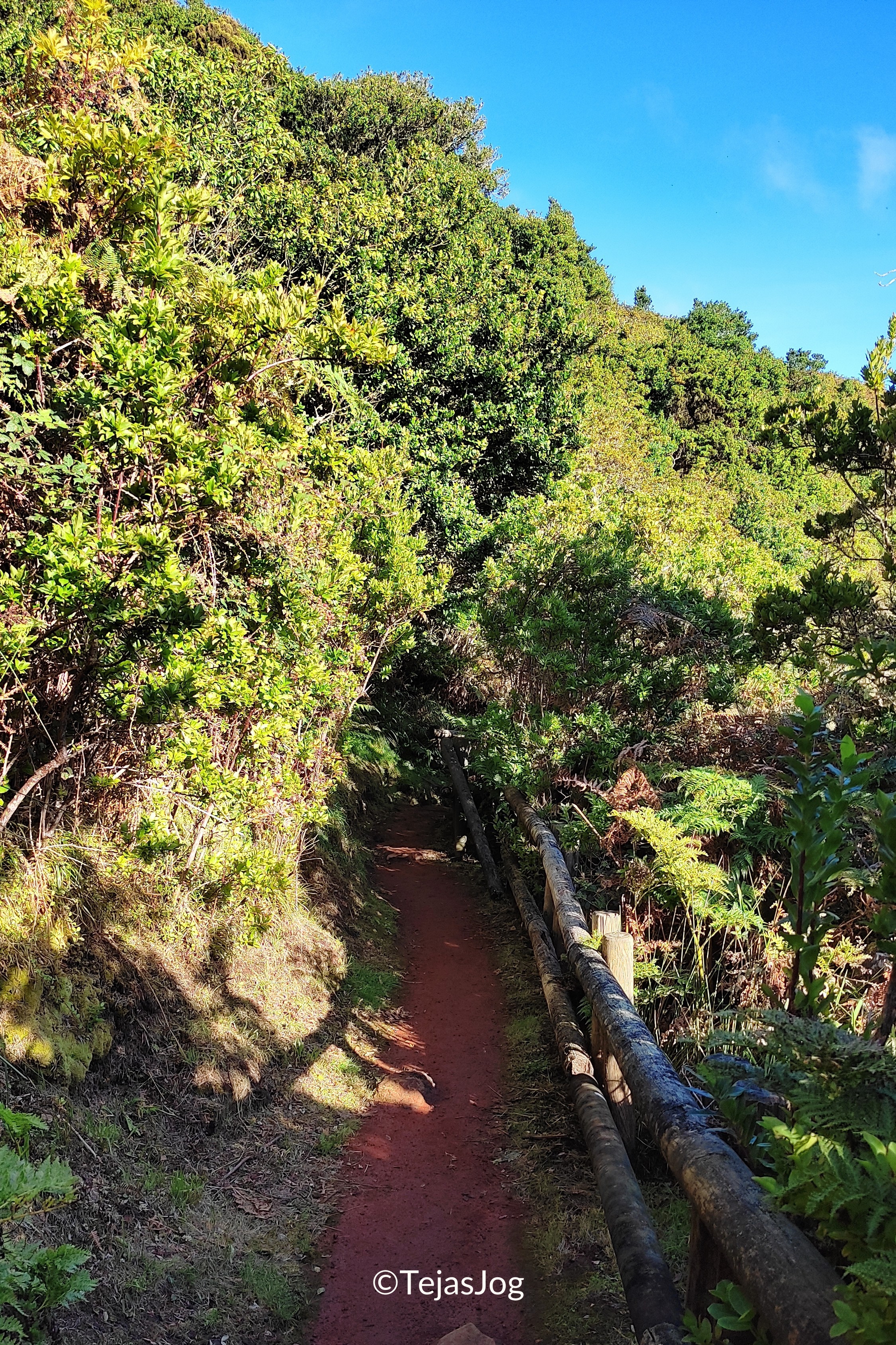 Furnas do Enxofre