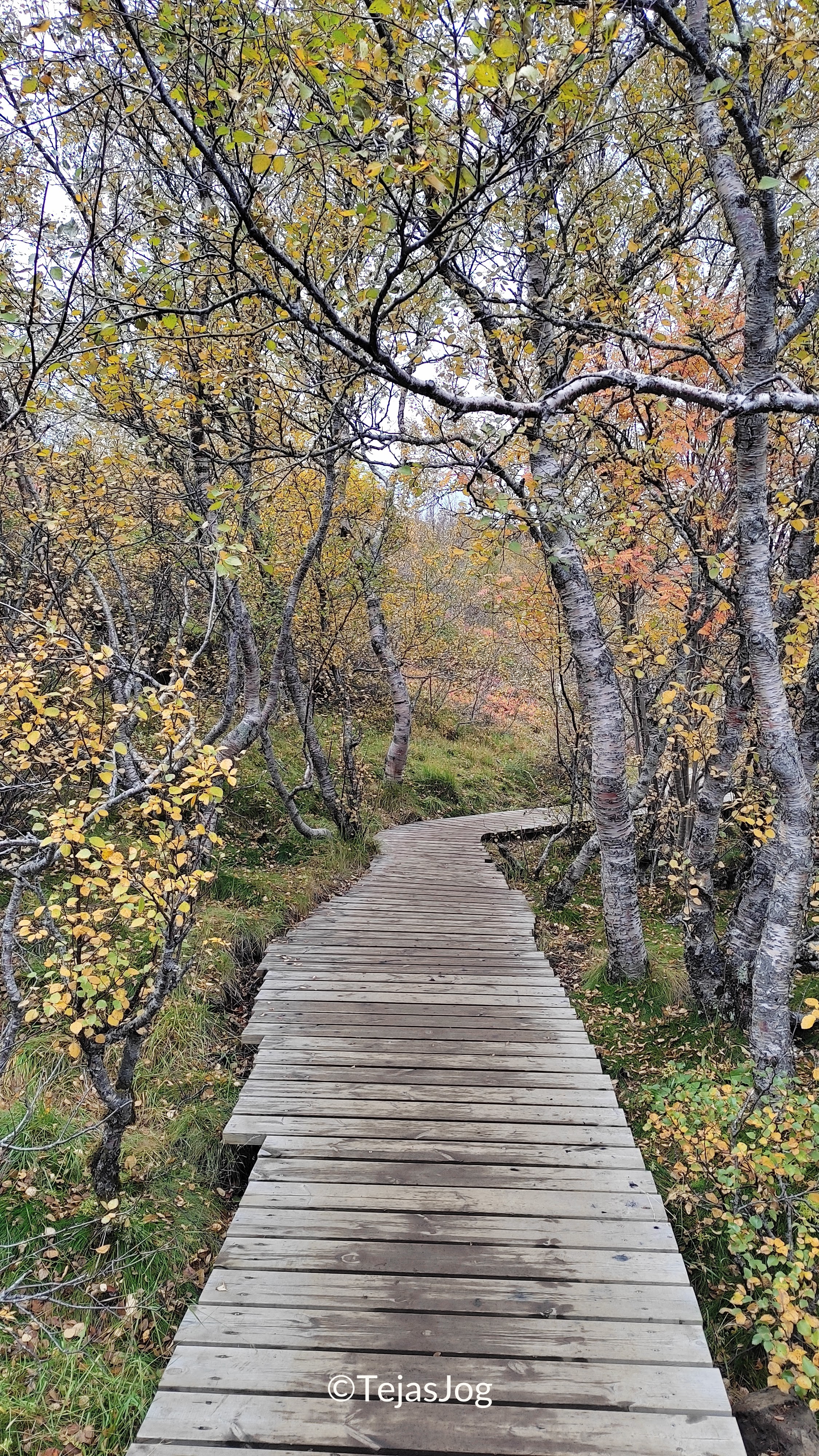 Thingvellir