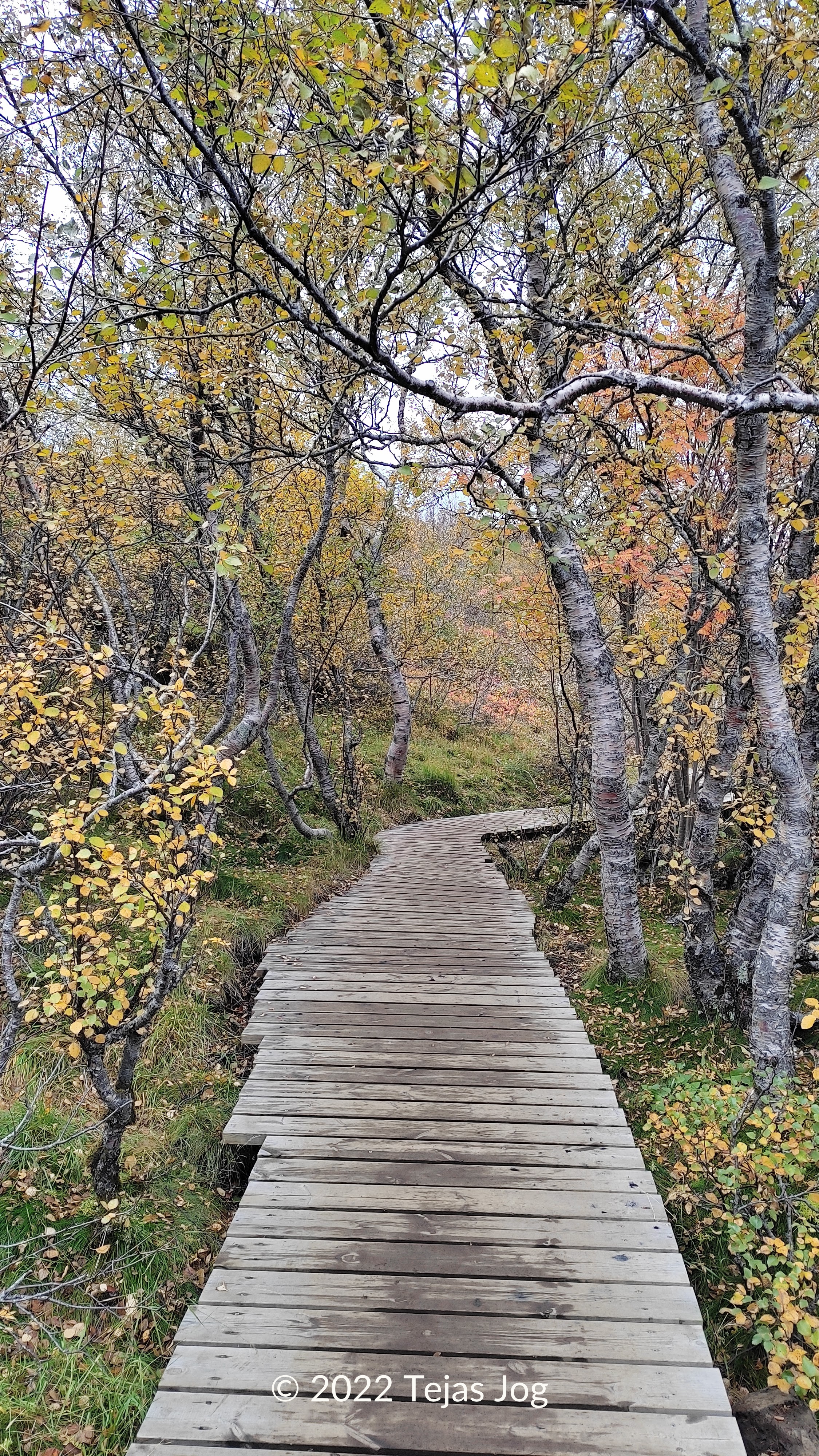 Thingvellir