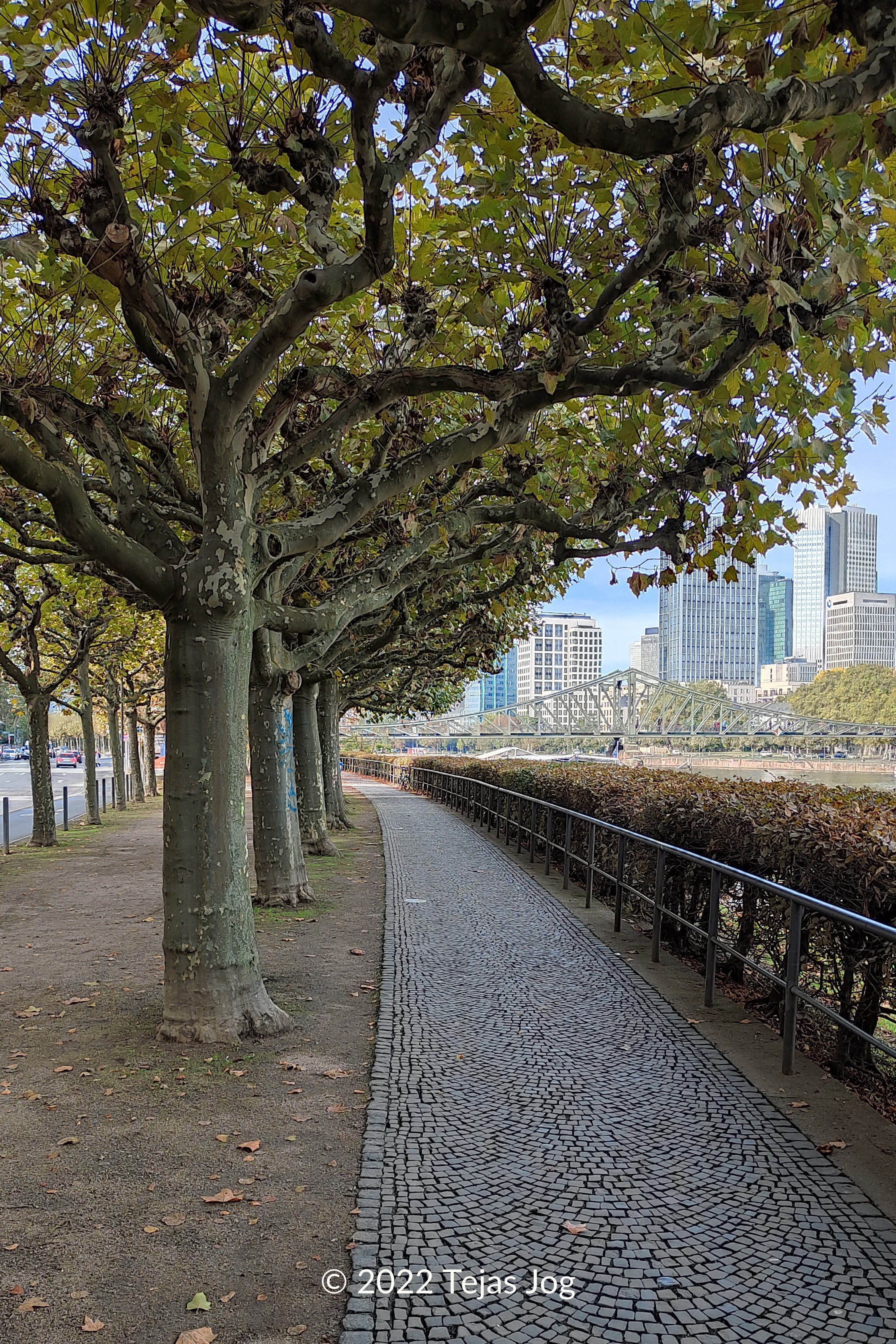 Frankfurt