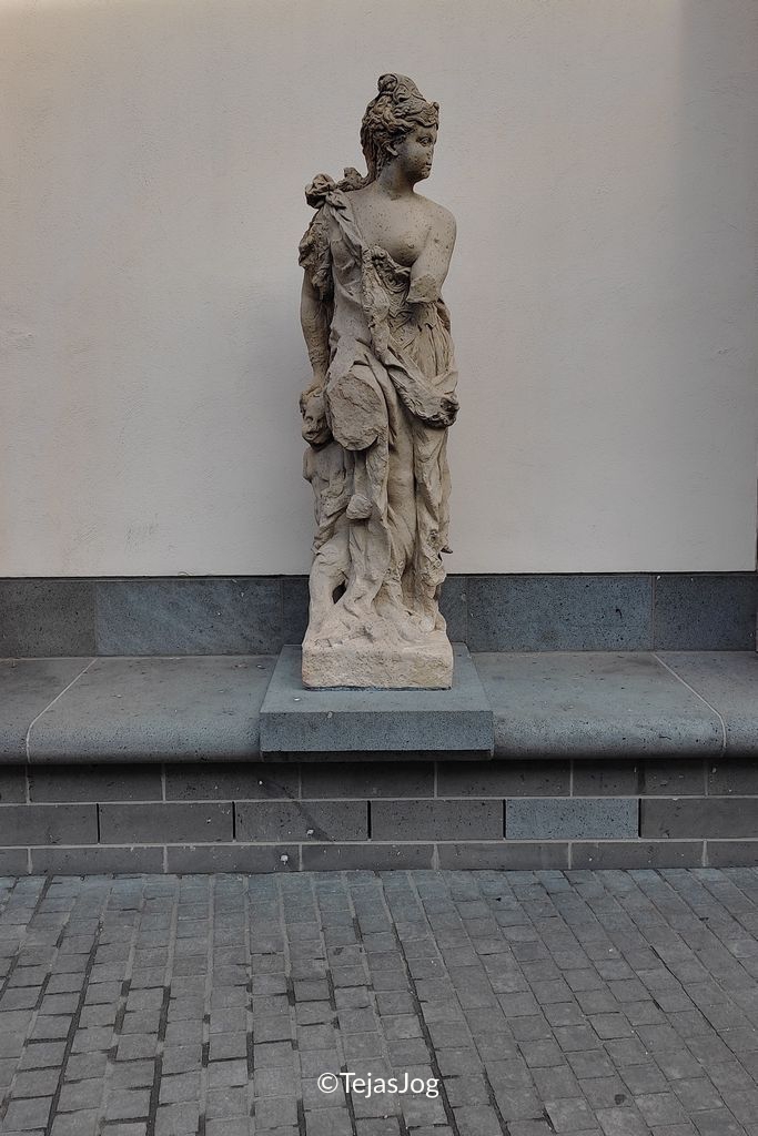 Young Museum