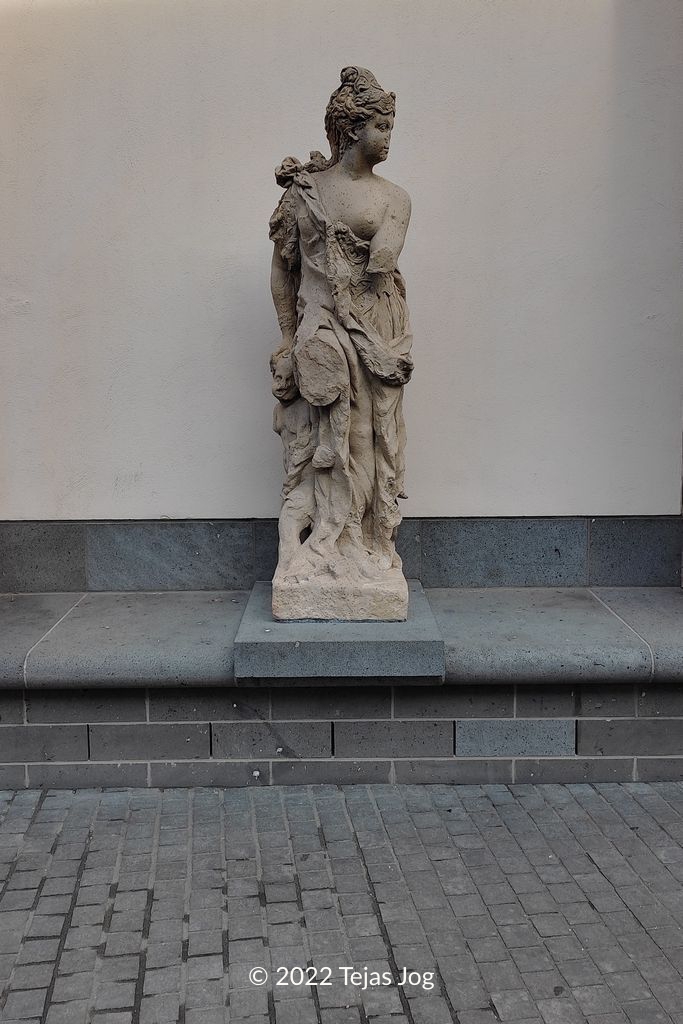 Young Museum