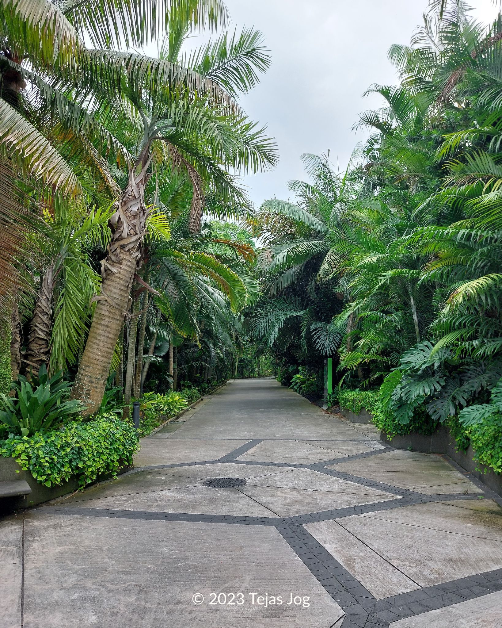 Gardens by the Bay