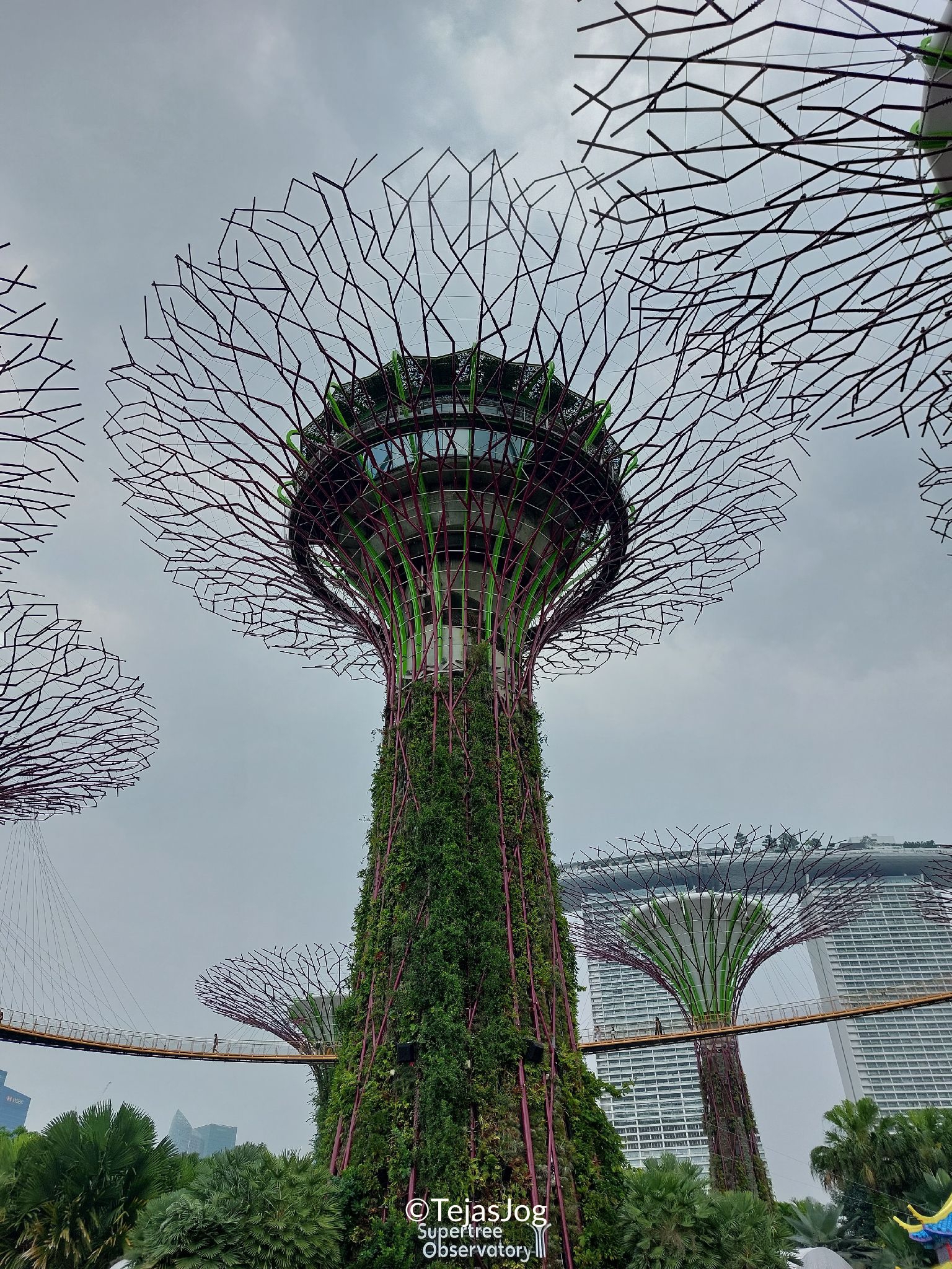 Gardens by the Bay